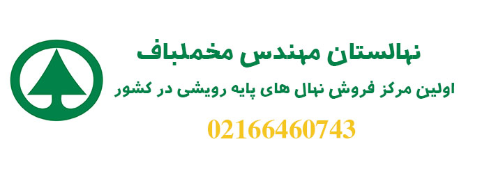   آماده سازی زمین برای کاشت درخت گردو چندلر پوست کاغذی ,احداث باغ گردو چندلر پوست کاغذی ,کاشت درخت گردو چندلر پوست کاغذی,بیماری های درخت نهال گردوی چندلر پوست کاغذی, زمین مناسب کاشت درخت نهال چندلر پوست کاغذی ,شرایط اقلیمی مناسب کاشت درخت گردو چندلر پوست کاغذی,فاصله کاشت درخت گردو چندلر پوست کاغذی,میزان آبیاری درخت گردو چندلر پوست کاغذی,کوددهی و تغذیه درخت گردو چندلر پوست کاغذی,میزان باردهی گردو چندلر پوست کاغذی در هکتار,تولید درخت نهال گردوی چندلر پوست کاغذی, آموزش پیوند زدن درخت گردو چندلر پوست کاغذی ,فروش عمده درخت گردو چندلر پوست کاغذی, لیست قیمت عمده درخت گردو چندلر پوست کاغذی,درخت نهالستان گردو چندلر پوست کاغذی , درخت نهال گردوی چندلر پوست کاغذی اصلاح شده, هرس درخت گردو چندلر پوست کاغذی ,معرفی درخت گردو چندلر پوست کاغذی, آفات و بیماری های درخت گردو چندلر پوست کاغذی, تکثیر درخت گردو چندلر پوست کاغذی, فروش درخت گردو چندلر پوست کاغذی, خرید درخت گردو چندلر پوست کاغذی,خرید عمده درخت گردو چندلر پوست کاغذی, فروش عمده درخت گردو چندلر پوست کاغذی, خرید و فروش اینترنتی درخت گردو چندلر پوست کاغذی, فروشگاه اینترنتی درخت گردو چندلر پوست کاغذی, فروشگاه آنلاین درخت گردو چندلر پوست کاغذی,خاک مناسب درخت گردو چندلر پوست کاغذی, درباره درخت گردو چندلر پوست کاغذی, بیوگرافی درخت گردو چندلر پوست کاغذی, نام علمی درخت گردو چندلر پوست کاغذی, خانواده درخت گردو چندلر پوست کاغذی,شرایط محیطی درخت گردو چندلر پوست کاغذی, قیمت درخت گردو چندلر پوست کاغذی, تولیدی درخت گردو چندلر پوست کاغذی, دمای ایده آل درخت گردو چندلر پوست کاغذی, گونه های مختلف درخت گردو چندلر پوست کاغذی,عکس و تصویر درخت گردو چندلر پوست کاغذی,زمان هرس درخت گردو چندلر پوست کاغذی,میزان آبیاری درخت گردو چندلر پوست کاغذی,قیمت نهال گردو چندلر پوست کاغذی,فروش نهال گردو چندلر پوست کاغذی,خرید نهال گردو چندلر پوست کاغذی,گردوی چندلر پوست کاغذی,کاشت درخت گردو چندلر پوست کاغذی,سمپاشی درخت گردو چندلر پوست کاغذی,احداث باغ گردو چندلر پوست کاغذی,خصوصیات درخت گردو چندلر پوست کاغذی,عکس درخت گردو چندلر پوست کاغذی,میزان باردهی درخت گردو چندلر پوست کاغذی,مشخصات درخت گردو چندلر پوست کاغذی,آفات درخت گردو چندلر پوست کاغذی,ارقام گردوی چندلر پوست کاغذی,بذر گردوی چندلر پوست کاغذی,بذر گرد چندلر پوست کاغذی,گردوی چندلر پوست کاغذی,فروش گردوی چندلر پوست کاغذی,خرید گردوی چندلر پوست کاغذی,قیمت گردوی چندلر پوست کاغذی,نهال گردوی چندلر پوست کاغذی,انواع گردوی چندلر پوست کاغذی,  نهال گردو فرانکت , نهال گردو پدرو , نهال گردو چندلر , نهال گردو لارا , نهال گردو روند , نهال گردو فرنور , نهال گردو مراغه , نهال گردو ژنوتیپ برتر مراغه , نهال گردو وینا , نهال گردودماوند , نهال گردو جمال , نهال گردو کانادایی , نهال گردو بیلجک , نهال گردو اسرائیلی , نهال گردو اسرائیلی خوشه ای , نهال گردو اسرائیلی پاکوتاه , نهال گردو اسراییلی دیرگل , نهال گردو تویسرکان , نهال گردو ضیاآبادی , نهال گردو خوشه ای فرانسوی , نهال گردو شیلی , نهال گردو پکان امریکایی , نهال گردو سجنو , نهال گردو سانلند , نهال گردو توسرخ , نهال گردو شبین , نهال گردو کاما , نهال گردو یالووا , نهال گردو پاریزین , نهال گردو تل کبوته , نهال گردو کن , نهال گردو شهمیرزاد , نهال گردو ارمنستان , نهال گردو پکان , نهال گردو پاین , نهال گردو هوارد , نهال گردو سر , نهال گردو سیسکو , نهال گردو وینا , نهال گردو جیکو , نهال گردو فرانکت شارج , نهال گردو اشلی , نهال گردو سولانو , نهال گردو استن , نهال گردو اورکا , نهال گردو جیلت , نهال گردو آیوانهو,نهال گردو , خرید نهال گردو , فروش نهال گردو , قیمت نهال گردو , نهال گردو چندلر , خرید نهال گردو چندلر , فروش نهال گردو چندلر , قیمت نهال گردو چندلر , نهال گردو فرنور , خرید نهال گردو فرنور , فروش نهال گردو فرنور , قیمت نهال گردو فرنور , نهال گردو خوشه ای , خرید نهال گردو خوشه ای , فروش نهال گردو خوشه ای , قیمت نهال گردو خوشه ای , نهال گردو اسرائیلی , خرید نهال گردو اسرائیلی , فروش نهال گردو اسرائیلی , قیمت نهال گردو اسرائیلی , ایران گردو , نهالستان گردو , نهال گردو کانادایی , خرید نهال گردو کانادایی , فروش نهال گردو کانادایی , قیمت نهال گردو کانادایی , نهال گردو پیوندی , خرید نهال گردو پیوندی , فروش نهال گردو پیوندی , قیمت نهال گردو پیوندی , نهال گردو دیرگل , خرید نهال گردو دیرگل, فروش نهال گردو دیرگل, قیمت نهال گردو دیرگل آماده سازی زمین برای کاشت درخت گردو فرانکت ,احداث باغ گردو فرانکت ,کاشت درخت گردو فرانکت,بیماری های درخت نهال گردوی فرانکت, زمین مناسب کاشت درخت نهال فرانکت ,شرایط اقلیمی مناسب کاشت درخت گردو فرانکت,فاصله کاشت درخت گردو فرانکت,میزان آبیاری درخت گردو فرانکت,کوددهی و تغذیه درخت گردو فرانکت,میزان باردهی گردو فرانکت در هکتار,تولید درخت نهال گردوی فرانکت, آموزش پیوند زدن درخت گردو فرانکت ,فروش عمده درخت گردو فرانکت, لیست قیمت عمده درخت گردو فرانکت,درخت نهالستان گردو فرانکت , درخت نهال گردوی فرانکت اصلاح شده, هرس درخت گردو فرانکت ,معرفی درخت گردو فرانکت, آفات و بیماری های درخت گردو فرانکت, تکثیر درخت گردو فرانکت, فروش درخت گردو فرانکت, خرید درخت گردو فرانکت,خرید عمده درخت گردو فرانکت, فروش عمده درخت گردو فرانکت, خرید و فروش اینترنتی درخت گردو فرانکت, فروشگاه اینترنتی درخت گردو فرانکت, فروشگاه آنلاین درخت گردو فرانکت,خاک مناسب درخت گردو فرانکت, درباره درخت گردو فرانکت, بیوگرافی درخت گردو فرانکت, نام علمی درخت گردو فرانکت, خانواده درخت گردو فرانکت,شرایط محیطی درخت گردو فرانکت, قیمت درخت گردو فرانکت, تولیدی درخت گردو فرانکت, دمای ایده آل درخت گردو فرانکت, گونه های مختلف درخت گردو فرانکت,عکس و تصویر درخت گردو فرانکت,زمان هرس درخت گردو فرانکت,میزان آبیاری درخت گردو فرانکت,قیمت نهال گردو فرانکت,فروش نهال گردو فرانکت,خرید نهال گردو فرانکت,گردوی فرانکت,کاشت درخت گردو فرانکت,سمپاشی درخت گردو فرانکت,احداث باغ گردو فرانکت,خصوصیات درخت گردو فرانکت,عکس درخت گردو فرانکت,میزان باردهی درخت گردو فرانکت,مشخصات درخت گردو فرانکت,آفات درخت گردو فرانکت,ارقام گردوی فرانکت,بذر گردوی فرانکت,بذر گرد فرانکت,گردوی فرانکت,فروش گردوی فرانکت,خرید گردوی فرانکت,قیمت گردوی فرانکت,نهال گردوی فرانکت,انواع گردوی فرانکت,  آماده سازی زمین برای کاشت درخت گردو پدرو ,احداث باغ گردو پدرو ,کاشت درخت گردو پدرو,بیماری های درخت نهال گردوی پدرو, زمین مناسب کاشت درخت نهال پدرو ,شرایط اقلیمی مناسب کاشت درخت گردو پدرو,فاصله کاشت درخت گردو پدرو,میزان آبیاری درخت گردو پدرو,کوددهی و تغذیه درخت گردو پدرو,میزان باردهی گردو پدرو در هکتار,تولید درخت نهال گردوی پدرو, آموزش پیوند زدن درخت گردو پدرو ,فروش عمده درخت گردو پدرو, لیست قیمت عمده درخت گردو پدرو,درخت نهالستان گردو پدرو , درخت نهال گردوی پدرو اصلاح شده, هرس درخت گردو پدرو ,معرفی درخت گردو پدرو, آفات و بیماری های درخت گردو پدرو, تکثیر درخت گردو پدرو, فروش درخت گردو پدرو, خرید درخت گردو پدرو,خرید عمده درخت گردو پدرو, فروش عمده درخت گردو پدرو, خرید و فروش اینترنتی درخت گردو پدرو, فروشگاه اینترنتی درخت گردو پدرو, فروشگاه آنلاین درخت گردو پدرو,خاک مناسب درخت گردو پدرو, درباره درخت گردو پدرو, بیوگرافی درخت گردو پدرو, نام علمی درخت گردو پدرو, خانواده درخت گردو پدرو,شرایط محیطی درخت گردو پدرو, قیمت درخت گردو پدرو, تولیدی درخت گردو پدرو, دمای ایده آل درخت گردو پدرو, گونه های مختلف درخت گردو پدرو,عکس و تصویر درخت گردو پدرو,زمان هرس درخت گردو پدرو,میزان آبیاری درخت گردو پدرو,قیمت نهال گردو پدرو,فروش نهال گردو پدرو,خرید نهال گردو پدرو,گردوی پدرو,کاشت درخت گردو پدرو,سمپاشی درخت گردو پدرو,احداث باغ گردو پدرو,خصوصیات درخت گردو پدرو,عکس درخت گردو پدرو,میزان باردهی درخت گردو پدرو,مشخصات درخت گردو پدرو,آفات درخت گردو پدرو,ارقام گردوی پدرو,بذر گردوی پدرو,بذر گرد پدرو,گردوی پدرو,فروش گردوی پدرو,خرید گردوی پدرو,قیمت گردوی پدرو,نهال گردوی پدرو,انواع گردوی پدرو, آماده سازی زمین برای کاشت درخت گردو لارا ,احداث باغ گردو لارا ,کاشت درخت گردو لارا,بیماری های درخت نهال گردوی لارا, زمین مناسب کاشت درخت نهال لارا ,شرایط اقلیمی مناسب کاشت درخت گردو لارا,فاصله کاشت درخت گردو لارا,میزان آبیاری درخت گردو لارا,کوددهی و تغذیه درخت گردو لارا,میزان باردهی گردو لارا در هکتار,تولید درخت نهال گردوی لارا, آموزش پیوند زدن درخت گردو لارا ,فروش عمده درخت گردو لارا, لیست قیمت عمده درخت گردو لارا,درخت نهالستان گردو لارا , درخت نهال گردوی لارا اصلاح شده, هرس درخت گردو لارا ,معرفی درخت گردو لارا, آفات و بیماری های درخت گردو لارا, تکثیر درخت گردو لارا, فروش درخت گردو لارا, خرید درخت گردو لارا,خرید عمده درخت گردو لارا, فروش عمده درخت گردو لارا, خرید و فروش اینترنتی درخت گردو لارا, فروشگاه اینترنتی درخت گردو لارا, فروشگاه آنلاین درخت گردو لارا,خاک مناسب درخت گردو لارا, درباره درخت گردو لارا, بیوگرافی درخت گردو لارا, نام علمی درخت گردو لارا, خانواده درخت گردو لارا,شرایط محیطی درخت گردو لارا, قیمت درخت گردو لارا, تولیدی درخت گردو لارا, دمای ایده آل درخت گردو لارا, گونه های مختلف درخت گردو لارا,عکس و تصویر درخت گردو لارا,زمان هرس درخت گردو لارا,میزان آبیاری درخت گردو لارا,قیمت نهال گردو لارا,فروش نهال گردو لارا,خرید نهال گردو لارا,گردوی لارا,کاشت درخت گردو لارا,سمپاشی درخت گردو لارا,احداث باغ گردو لارا,خصوصیات درخت گردو لارا,عکس درخت گردو لارا,میزان باردهی درخت گردو لارا,مشخصات درخت گردو لارا,آفات درخت گردو لارا,ارقام گردوی لارا,بذر گردوی لارا,بذر گرد لارا,گردوی لارا,فروش گردوی لارا,خرید گردوی لارا,قیمت گردوی لارا,نهال گردوی لارا,انواع گردوی لارا,  آماده سازی زمین برای کاشت درخت گردو روند ,احداث باغ گردو روند ,کاشت درخت گردو روند,بیماری های درخت نهال گردوی روند, زمین مناسب کاشت درخت نهال روند ,شرایط اقلیمی مناسب کاشت درخت گردو روند,فاصله کاشت درخت گردو روند,میزان آبیاری درخت گردو روند,کوددهی و تغذیه درخت گردو روند,میزان باردهی گردو روند در هکتار,تولید درخت نهال گردوی روند, آموزش پیوند زدن درخت گردو روند ,فروش عمده درخت گردو روند, لیست قیمت عمده درخت گردو روند,درخت نهالستان گردو روند , درخت نهال گردوی روند اصلاح شده, هرس درخت گردو روند ,معرفی درخت گردو روند, آفات و بیماری های درخت گردو روند, تکثیر درخت گردو روند, فروش درخت گردو روند, خرید درخت گردو روند,خرید عمده درخت گردو روند, فروش عمده درخت گردو روند, خرید و فروش اینترنتی درخت گردو روند, فروشگاه اینترنتی درخت گردو روند, فروشگاه آنلاین درخت گردو روند,خاک مناسب درخت گردو روند, درباره درخت گردو روند, بیوگرافی درخت گردو روند, نام علمی درخت گردو روند, خانواده درخت گردو روند,شرایط محیطی درخت گردو روند, قیمت درخت گردو روند, تولیدی درخت گردو روند, دمای ایده آل درخت گردو روند, گونه های مختلف درخت گردو روند,عکس و تصویر درخت گردو روند,زمان هرس درخت گردو روند,میزان آبیاری درخت گردو روند,قیمت نهال گردو روند,فروش نهال گردو روند,خرید نهال گردو روند,گردوی روند,کاشت درخت گردو روند,سمپاشی درخت گردو روند,احداث باغ گردو روند,خصوصیات درخت گردو روند,عکس درخت گردو روند,میزان باردهی درخت گردو روند,مشخصات درخت گردو روند,آفات درخت گردو روند,ارقام گردوی روند,بذر گردوی روند,بذر گرد روند,گردوی روند,فروش گردوی روند,خرید گردوی روند,قیمت گردوی روند,نهال گردوی روند,انواع گردوی روند,   آماده سازی زمین برای کاشت درخت گردو فرنور ,احداث باغ گردو فرنور ,کاشت درخت گردو فرنور,بیماری های درخت نهال گردوی فرنور, زمین مناسب کاشت درخت نهال فرنور ,شرایط اقلیمی مناسب کاشت درخت گردو فرنور,فاصله کاشت درخت گردو فرنور,میزان آبیاری درخت گردو فرنور,کوددهی و تغذیه درخت گردو فرنور,میزان باردهی گردو فرنور در هکتار,تولید درخت نهال گردوی فرنور, آموزش پیوند زدن درخت گردو فرنور ,فروش عمده درخت گردو فرنور, لیست قیمت عمده درخت گردو فرنور,درخت نهالستان گردو فرنور , درخت نهال گردوی فرنور اصلاح شده, هرس درخت گردو فرنور ,معرفی درخت گردو فرنور, آفات و بیماری های درخت گردو فرنور, تکثیر درخت گردو فرنور, فروش درخت گردو فرنور, خرید درخت گردو فرنور,خرید عمده درخت گردو فرنور, فروش عمده درخت گردو فرنور, خرید و فروش اینترنتی درخت گردو فرنور, فروشگاه اینترنتی درخت گردو فرنور, فروشگاه آنلاین درخت گردو فرنور,خاک مناسب درخت گردو فرنور, درباره درخت گردو فرنور, بیوگرافی درخت گردو فرنور, نام علمی درخت گردو فرنور, خانواده درخت گردو فرنور,شرایط محیطی درخت گردو فرنور, قیمت درخت گردو فرنور, تولیدی درخت گردو فرنور, دمای ایده آل درخت گردو فرنور, گونه های مختلف درخت گردو فرنور,عکس و تصویر درخت گردو فرنور,زمان هرس درخت گردو فرنور,میزان آبیاری درخت گردو فرنور,قیمت نهال گردو فرنور,فروش نهال گردو فرنور,خرید نهال گردو فرنور,گردوی فرنور,کاشت درخت گردو فرنور,سمپاشی درخت گردو فرنور,احداث باغ گردو فرنور,خصوصیات درخت گردو فرنور,عکس درخت گردو فرنور,میزان باردهی درخت گردو فرنور,مشخصات درخت گردو فرنور,آفات درخت گردو فرنور,ارقام گردوی فرنور,بذر گردوی فرنور,بذر گرد فرنور,گردوی فرنور,فروش گردوی فرنور,خرید گردوی فرنور,قیمت گردوی فرنور,نهال گردوی فرنور,انواع گردوی فرنور,  آماده سازی زمین برای کاشت درخت گردو مراغه ,احداث باغ گردو مراغه ,کاشت درخت گردو مراغه,بیماری های درخت نهال گردوی مراغه, زمین مناسب کاشت درخت نهال مراغه ,شرایط اقلیمی مناسب کاشت درخت گردو مراغه,فاصله کاشت درخت گردو مراغه,میزان آبیاری درخت گردو مراغه,کوددهی و تغذیه درخت گردو مراغه,میزان باردهی گردو مراغه در هکتار,تولید درخت نهال گردوی مراغه, آموزش پیوند زدن درخت گردو مراغه ,فروش عمده درخت گردو مراغه, لیست قیمت عمده درخت گردو مراغه,درخت نهالستان گردو مراغه , درخت نهال گردوی مراغه اصلاح شده, هرس درخت گردو مراغه ,معرفی درخت گردو مراغه, آفات و بیماری های درخت گردو مراغه, تکثیر درخت گردو مراغه, فروش درخت گردو مراغه, خرید درخت گردو مراغه,خرید عمده درخت گردو مراغه, فروش عمده درخت گردو مراغه, خرید و فروش اینترنتی درخت گردو مراغه, فروشگاه اینترنتی درخت گردو مراغه, فروشگاه آنلاین درخت گردو مراغه,خاک مناسب درخت گردو مراغه, درباره درخت گردو مراغه, بیوگرافی درخت گردو مراغه, نام علمی درخت گردو مراغه, خانواده درخت گردو مراغه,شرایط محیطی درخت گردو مراغه, قیمت درخت گردو مراغه, تولیدی درخت گردو مراغه, دمای ایده آل درخت گردو مراغه, گونه های مختلف درخت گردو مراغه,عکس و تصویر درخت گردو مراغه,زمان هرس درخت گردو مراغه,میزان آبیاری درخت گردو مراغه,قیمت نهال گردو مراغه,فروش نهال گردو مراغه,خرید نهال گردو مراغه,گردوی مراغه,کاشت درخت گردو مراغه,سمپاشی درخت گردو مراغه,احداث باغ گردو مراغه,خصوصیات درخت گردو مراغه,عکس درخت گردو مراغه,میزان باردهی درخت گردو مراغه,مشخصات درخت گردو مراغه,آفات درخت گردو مراغه,ارقام گردوی مراغه,بذر گردوی مراغه,بذر گرد مراغه,گردوی مراغه,فروش گردوی مراغه,خرید گردوی مراغه,قیمت گردوی مراغه,نهال گردوی مراغه,انواع گردوی مراغه, آماده سازی زمین برای کاشت درخت گردو ژنوتیپ برتر ,احداث باغ گردو ژنوتیپ برتر ,کاشت درخت گردو ژنوتیپ برتر,بیماری های درخت نهال گردوی ژنوتیپ برتر, زمین مناسب کاشت درخت نهال ژنوتیپ برتر ,شرایط اقلیمی مناسب کاشت درخت گردو ژنوتیپ برتر,فاصله کاشت درخت گردو ژنوتیپ برتر,میزان آبیاری درخت گردو ژنوتیپ برتر,کوددهی و تغذیه درخت گردو ژنوتیپ برتر,میزان باردهی گردو ژنوتیپ برتر در هکتار,تولید درخت نهال گردوی ژنوتیپ برتر, آموزش پیوند زدن درخت گردو ژنوتیپ برتر ,فروش عمده درخت گردو ژنوتیپ برتر, لیست قیمت عمده درخت گردو ژنوتیپ برتر,درخت نهالستان گردو ژنوتیپ برتر , درخت نهال گردوی ژنوتیپ برتر اصلاح شده, هرس درخت گردو ژنوتیپ برتر ,معرفی درخت گردو ژنوتیپ برتر, آفات و بیماری های درخت گردو ژنوتیپ برتر, تکثیر درخت گردو ژنوتیپ برتر, فروش درخت گردو ژنوتیپ برتر, خرید درخت گردو ژنوتیپ برتر,خرید عمده درخت گردو ژنوتیپ برتر, فروش عمده درخت گردو ژنوتیپ برتر, خرید و فروش اینترنتی درخت گردو ژنوتیپ برتر, فروشگاه اینترنتی درخت گردو ژنوتیپ برتر, فروشگاه آنلاین درخت گردو ژنوتیپ برتر,خاک مناسب درخت گردو ژنوتیپ برتر, درباره درخت گردو ژنوتیپ برتر, بیوگرافی درخت گردو ژنوتیپ برتر, نام علمی درخت گردو ژنوتیپ برتر, خانواده درخت گردو ژنوتیپ برتر,شرایط محیطی درخت گردو ژنوتیپ برتر, قیمت درخت گردو ژنوتیپ برتر, تولیدی درخت گردو ژنوتیپ برتر, دمای ایده آل درخت گردو ژنوتیپ برتر, گونه های مختلف درخت گردو ژنوتیپ برتر,عکس و تصویر درخت گردو ژنوتیپ برتر,زمان هرس درخت گردو ژنوتیپ برتر,میزان آبیاری درخت گردو ژنوتیپ برتر,قیمت نهال گردو ژنوتیپ برتر,فروش نهال گردو ژنوتیپ برتر,خرید نهال گردو ژنوتیپ برتر,گردوی ژنوتیپ برتر,کاشت درخت گردو ژنوتیپ برتر,سمپاشی درخت گردو ژنوتیپ برتر,احداث باغ گردو ژنوتیپ برتر,خصوصیات درخت گردو ژنوتیپ برتر,عکس درخت گردو ژنوتیپ برتر,میزان باردهی درخت گردو ژنوتیپ برتر,مشخصات درخت گردو ژنوتیپ برتر,آفات درخت گردو ژنوتیپ برتر,ارقام گردوی ژنوتیپ برتر,بذر گردوی ژنوتیپ برتر,بذر گرد ژنوتیپ برتر,گردوی ژنوتیپ برتر,فروش گردوی ژنوتیپ برتر,خرید گردوی ژنوتیپ برتر,قیمت گردوی ژنوتیپ برتر,نهال گردوی ژنوتیپ برتر,انواع گردوی ژنوتیپ برتر, آماده سازی زمین برای کاشت درخت گردو وینا ,احداث باغ گردو وینا ,کاشت درخت گردو وینا,بیماری های درخت نهال گردوی وینا, زمین مناسب کاشت درخت نهال وینا ,شرایط اقلیمی مناسب کاشت درخت گردو وینا,فاصله کاشت درخت گردو وینا,میزان آبیاری درخت گردو وینا,کوددهی و تغذیه درخت گردو وینا,میزان باردهی گردو وینا در هکتار,تولید درخت نهال گردوی وینا, آموزش پیوند زدن درخت گردو وینا ,فروش عمده درخت گردو وینا, لیست قیمت عمده درخت گردو وینا,درخت نهالستان گردو وینا , درخت نهال گردوی وینا اصلاح شده, هرس درخت گردو وینا ,معرفی درخت گردو وینا, آفات و بیماری های درخت گردو وینا, تکثیر درخت گردو وینا, فروش درخت گردو وینا, خرید درخت گردو وینا,خرید عمده درخت گردو وینا, فروش عمده درخت گردو وینا, خرید و فروش اینترنتی درخت گردو وینا, فروشگاه اینترنتی درخت گردو وینا, فروشگاه آنلاین درخت گردو وینا,خاک مناسب درخت گردو وینا, درباره درخت گردو وینا, بیوگرافی درخت گردو وینا, نام علمی درخت گردو وینا, خانواده درخت گردو وینا,شرایط محیطی درخت گردو وینا, قیمت درخت گردو وینا, تولیدی درخت گردو وینا, دمای ایده آل درخت گردو وینا, گونه های مختلف درخت گردو وینا,عکس و تصویر درخت گردو وینا,زمان هرس درخت گردو وینا,میزان آبیاری درخت گردو وینا,قیمت نهال گردو وینا,فروش نهال گردو وینا,خرید نهال گردو وینا,گردوی وینا,کاشت درخت گردو وینا,سمپاشی درخت گردو وینا,احداث باغ گردو وینا,خصوصیات درخت گردو وینا,عکس درخت گردو وینا,میزان باردهی درخت گردو وینا,مشخصات درخت گردو وینا,آفات درخت گردو وینا,ارقام گردوی وینا,بذر گردوی وینا,بذر گرد وینا,گردوی وینا,فروش گردوی وینا,خرید گردوی وینا,قیمت گردوی وینا,نهال گردوی وینا,انواع گردوی وینا, آماده سازی زمین برای کاشت درخت گردو هارتلی ,احداث باغ گردو هارتلی ,کاشت درخت گردو هارتلی,بیماری های درخت نهال گردوی هارتلی, زمین مناسب کاشت درخت نهال هارتلی ,شرایط اقلیمی مناسب کاشت درخت گردو هارتلی,فاصله کاشت درخت گردو هارتلی,میزان آبیاری درخت گردو هارتلی,کوددهی و تغذیه درخت گردو هارتلی,میزان باردهی گردو هارتلی در هکتار,تولید درخت نهال گردوی هارتلی, آموزش پیوند زدن درخت گردو هارتلی ,فروش عمده درخت گردو هارتلی, لیست قیمت عمده درخت گردو هارتلی,درخت نهالستان گردو هارتلی , درخت نهال گردوی هارتلی اصلاح شده, هرس درخت گردو هارتلی ,معرفی درخت گردو هارتلی, آفات و بیماری های درخت گردو هارتلی, تکثیر درخت گردو هارتلی, فروش درخت گردو هارتلی, خرید درخت گردو هارتلی,خرید عمده درخت گردو هارتلی, فروش عمده درخت گردو هارتلی, خرید و فروش اینترنتی درخت گردو هارتلی, فروشگاه اینترنتی درخت گردو هارتلی, فروشگاه آنلاین درخت گردو هارتلی,خاک مناسب درخت گردو هارتلی, درباره درخت گردو هارتلی, بیوگرافی درخت گردو هارتلی, نام علمی درخت گردو هارتلی, خانواده درخت گردو هارتلی,شرایط محیطی درخت گردو هارتلی, قیمت درخت گردو هارتلی, تولیدی درخت گردو هارتلی, دمای ایده آل درخت گردو هارتلی, گونه های مختلف درخت گردو هارتلی,عکس و تصویر درخت گردو هارتلی,زمان هرس درخت گردو هارتلی,میزان آبیاری درخت گردو هارتلی,قیمت نهال گردو هارتلی,فروش نهال گردو هارتلی,خرید نهال گردو هارتلی,گردوی هارتلی,کاشت درخت گردو هارتلی,سمپاشی درخت گردو هارتلی,احداث باغ گردو هارتلی,خصوصیات درخت گردو هارتلی,عکس درخت گردو هارتلی,میزان باردهی درخت گردو هارتلی,مشخصات درخت گردو هارتلی,آفات درخت گردو هارتلی,ارقام گردوی هارتلی,بذر گردوی هارتلی,بذر گرد هارتلی,گردوی هارتلی,فروش گردوی هارتلی,خرید گردوی هارتلی,قیمت گردوی هارتلی,نهال گردوی هارتلی,انواع گردوی هارتلی, آماده سازی زمین برای کاشت درخت گردو دماوند ,احداث باغ گردو دماوند ,کاشت درخت گردو دماوند,بیماری های درخت نهال گردوی دماوند, زمین مناسب کاشت درخت نهال دماوند ,شرایط اقلیمی مناسب کاشت درخت گردو دماوند,فاصله کاشت درخت گردو دماوند,میزان آبیاری درخت گردو دماوند,کوددهی و تغذیه درخت گردو دماوند,میزان باردهی گردو دماوند در هکتار,تولید درخت نهال گردوی دماوند, آموزش پیوند زدن درخت گردو دماوند ,فروش عمده درخت گردو دماوند, لیست قیمت عمده درخت گردو دماوند,درخت نهالستان گردو دماوند , درخت نهال گردوی دماوند اصلاح شده, هرس درخت گردو دماوند ,معرفی درخت گردو دماوند, آفات و بیماری های درخت گردو دماوند, تکثیر درخت گردو دماوند, فروش درخت گردو دماوند, خرید درخت گردو دماوند,خرید عمده درخت گردو دماوند, فروش عمده درخت گردو دماوند, خرید و فروش اینترنتی درخت گردو دماوند, فروشگاه اینترنتی درخت گردو دماوند, فروشگاه آنلاین درخت گردو دماوند,خاک مناسب درخت گردو دماوند, درباره درخت گردو دماوند, بیوگرافی درخت گردو دماوند, نام علمی درخت گردو دماوند, خانواده درخت گردو دماوند,شرایط محیطی درخت گردو دماوند, قیمت درخت گردو دماوند, تولیدی درخت گردو دماوند, دمای ایده آل درخت گردو دماوند, گونه های مختلف درخت گردو دماوند,عکس و تصویر درخت گردو دماوند,زمان هرس درخت گردو دماوند,میزان آبیاری درخت گردو دماوند,قیمت نهال گردو دماوند,فروش نهال گردو دماوند,خرید نهال گردو دماوند,گردوی دماوند,کاشت درخت گردو دماوند,سمپاشی درخت گردو دماوند,احداث باغ گردو دماوند,خصوصیات درخت گردو دماوند,عکس درخت گردو دماوند,میزان باردهی درخت گردو دماوند,مشخصات درخت گردو دماوند,آفات درخت گردو دماوند,ارقام گردوی دماوند,بذر گردوی دماوند,بذر گرد دماوند,گردوی دماوند,فروش گردوی دماوند,خرید گردوی دماوند,قیمت گردوی دماوند,نهال گردوی دماوند,انواع گردوی دماوند, آماده سازی زمین برای کاشت درخت گردو کانادایی ,احداث باغ گردو کانادایی ,کاشت درخت گردو کانادایی,بیماری های درخت نهال گردوی کانادایی, زمین مناسب کاشت درخت نهال کانادایی ,شرایط اقلیمی مناسب کاشت درخت گردو کانادایی,فاصله کاشت درخت گردو کانادایی,میزان آبیاری درخت گردو کانادایی,کوددهی و تغذیه درخت گردو کانادایی,میزان باردهی گردو کانادایی در هکتار,تولید درخت نهال گردوی کانادایی, آموزش پیوند زدن درخت گردو کانادایی ,فروش عمده درخت گردو کانادایی, لیست قیمت عمده درخت گردو کانادایی,درخت نهالستان گردو کانادایی , درخت نهال گردوی کانادایی اصلاح شده, هرس درخت گردو کانادایی ,معرفی درخت گردو کانادایی, آفات و بیماری های درخت گردو کانادایی, تکثیر درخت گردو کانادایی, فروش درخت گردو کانادایی, خرید درخت گردو کانادایی,خرید عمده درخت گردو کانادایی, فروش عمده درخت گردو کانادایی, خرید و فروش اینترنتی درخت گردو کانادایی, فروشگاه اینترنتی درخت گردو کانادایی, فروشگاه آنلاین درخت گردو کانادایی,خاک مناسب درخت گردو کانادایی, درباره درخت گردو کانادایی, بیوگرافی درخت گردو کانادایی, نام علمی درخت گردو کانادایی, خانواده درخت گردو کانادایی,شرایط محیطی درخت گردو کانادایی, قیمت درخت گردو کانادایی, تولیدی درخت گردو کانادایی, دمای ایده آل درخت گردو کانادایی, گونه های مختلف درخت گردو کانادایی,عکس و تصویر درخت گردو کانادایی,زمان هرس درخت گردو کانادایی,میزان آبیاری درخت گردو کانادایی,قیمت نهال گردو کانادایی,فروش نهال گردو کانادایی,خرید نهال گردو کانادایی,گردوی کانادایی,کاشت درخت گردو کانادایی,سمپاشی درخت گردو کانادایی,احداث باغ گردو کانادایی,خصوصیات درخت گردو کانادایی,عکس درخت گردو کانادایی,میزان باردهی درخت گردو کانادایی,مشخصات درخت گردو کانادایی,آفات درخت گردو کانادایی,ارقام گردوی کانادایی,بذر گردوی کانادایی,بذر گرد کانادایی,گردوی کانادایی,فروش گردوی کانادایی,خرید گردوی کانادایی,قیمت گردوی کانادایی,نهال گردوی کانادایی,انواع گردوی کانادایی, آماده سازی زمین برای کاشت درخت گردو بیلجک ,احداث باغ گردو بیلجک ,کاشت درخت گردو بیلجک,بیماری های درخت نهال گردوی بیلجک, زمین مناسب کاشت درخت نهال بیلجک ,شرایط اقلیمی مناسب کاشت درخت گردو بیلجک,فاصله کاشت درخت گردو بیلجک,میزان آبیاری درخت گردو بیلجک,کوددهی و تغذیه درخت گردو بیلجک,میزان باردهی گردو بیلجک در هکتار,تولید درخت نهال گردوی بیلجک, آموزش پیوند زدن درخت گردو بیلجک ,فروش عمده درخت گردو بیلجک, لیست قیمت عمده درخت گردو بیلجک,درخت نهالستان گردو بیلجک , درخت نهال گردوی بیلجک اصلاح شده, هرس درخت گردو بیلجک ,معرفی درخت گردو بیلجک, آفات و بیماری های درخت گردو بیلجک, تکثیر درخت گردو بیلجک, فروش درخت گردو بیلجک, خرید درخت گردو بیلجک,خرید عمده درخت گردو بیلجک, فروش عمده درخت گردو بیلجک, خرید و فروش اینترنتی درخت گردو بیلجک, فروشگاه اینترنتی درخت گردو بیلجک, فروشگاه آنلاین درخت گردو بیلجک,خاک مناسب درخت گردو بیلجک, درباره درخت گردو بیلجک, بیوگرافی درخت گردو بیلجک, نام علمی درخت گردو بیلجک, خانواده درخت گردو بیلجک,شرایط محیطی درخت گردو بیلجک, قیمت درخت گردو بیلجک, تولیدی درخت گردو بیلجک, دمای ایده آل درخت گردو بیلجک, گونه های مختلف درخت گردو بیلجک,عکس و تصویر درخت گردو بیلجک,زمان هرس درخت گردو بیلجک,میزان آبیاری درخت گردو بیلجک,قیمت نهال گردو بیلجک,فروش نهال گردو بیلجک,خرید نهال گردو بیلجک,گردوی بیلجک,کاشت درخت گردو بیلجک,سمپاشی درخت گردو بیلجک,احداث باغ گردو بیلجک,خصوصیات درخت گردو بیلجک,عکس درخت گردو بیلجک,میزان باردهی درخت گردو بیلجک,مشخصات درخت گردو بیلجک,آفات درخت گردو بیلجک,ارقام گردوی بیلجک,بذر گردوی بیلجک,بذر گرد بیلجک,گردوی بیلجک,فروش گردوی بیلجک,خرید گردوی بیلجک,قیمت گردوی بیلجک,نهال گردوی بیلجک,انواع گردوی بیلجک, آماده سازی زمین برای کاشت درخت گردو اسراییلی تخم مرغی ,احداث باغ گردو اسراییلی تخم مرغی ,کاشت درخت گردو اسراییلی تخم مرغی,بیماری های درخت نهال گردوی اسراییلی تخم مرغی, زمین مناسب کاشت درخت نهال اسراییلی تخم مرغی ,شرایط اقلیمی مناسب کاشت درخت گردو اسراییلی تخم مرغی,فاصله کاشت درخت گردو اسراییلی تخم مرغی,میزان آبیاری درخت گردو اسراییلی تخم مرغی,کوددهی و تغذیه درخت گردو اسراییلی تخم مرغی,میزان باردهی گردو اسراییلی تخم مرغی در هکتار,تولید درخت نهال گردوی اسراییلی تخم مرغی, آموزش پیوند زدن درخت گردو اسراییلی تخم مرغی ,فروش عمده درخت گردو اسراییلی تخم مرغی, لیست قیمت عمده درخت گردو اسراییلی تخم مرغی,درخت نهالستان گردو اسراییلی تخم مرغی , درخت نهال گردوی اسراییلی تخم مرغی اصلاح شده, هرس درخت گردو اسراییلی تخم مرغی ,معرفی درخت گردو اسراییلی تخم مرغی, آفات و بیماری های درخت گردو اسراییلی تخم مرغی, تکثیر درخت گردو اسراییلی تخم مرغی, فروش درخت گردو اسراییلی تخم مرغی, خرید درخت گردو اسراییلی تخم مرغی,خرید عمده درخت گردو اسراییلی تخم مرغی, فروش عمده درخت گردو اسراییلی تخم مرغی, خرید و فروش اینترنتی درخت گردو اسراییلی تخم مرغی, فروشگاه اینترنتی درخت گردو اسراییلی تخم مرغی, فروشگاه آنلاین درخت گردو اسراییلی تخم مرغی,خاک مناسب درخت گردو اسراییلی تخم مرغی, درباره درخت گردو اسراییلی تخم مرغی, بیوگرافی درخت گردو اسراییلی تخم مرغی, نام علمی درخت گردو اسراییلی تخم مرغی, خانواده درخت گردو اسراییلی تخم مرغی,شرایط محیطی درخت گردو اسراییلی تخم مرغی, قیمت درخت گردو اسراییلی تخم مرغی, تولیدی درخت گردو اسراییلی تخم مرغی, دمای ایده آل درخت گردو اسراییلی تخم مرغی, گونه های مختلف درخت گردو اسراییلی تخم مرغی,عکس و تصویر درخت گردو اسراییلی تخم مرغی,زمان هرس درخت گردو اسراییلی تخم مرغی,میزان آبیاری درخت گردو اسراییلی تخم مرغی,قیمت نهال گردو اسراییلی تخم مرغی,فروش نهال گردو اسراییلی تخم مرغی,خرید نهال گردو اسراییلی تخم مرغی,گردوی اسراییلی تخم مرغی,کاشت درخت گردو اسراییلی تخم مرغی,سمپاشی درخت گردو اسراییلی تخم مرغی,احداث باغ گردو اسراییلی تخم مرغی,خصوصیات درخت گردو اسراییلی تخم مرغی,عکس درخت گردو اسراییلی تخم مرغی,میزان باردهی درخت گردو اسراییلی تخم مرغی,مشخصات درخت گردو اسراییلی تخم مرغی,آفات درخت گردو اسراییلی تخم مرغی,ارقام گردوی اسراییلی تخم مرغی,بذر گردوی اسراییلی تخم مرغی,بذر گرد اسراییلی تخم مرغی,گردوی اسراییلی تخم مرغی,فروش گردوی اسراییلی تخم مرغی,خرید گردوی اسراییلی تخم مرغی,قیمت گردوی اسراییلی تخم مرغی,نهال گردوی اسراییلی تخم مرغی,انواع گردوی اسراییلی تخم مرغی, آماده سازی زمین برای کاشت درخت گردو اسراییلی تخم مرغی ,احداث باغ گردو اسراییلی تخم مرغی ,کاشت درخت گردو اسراییلی تخم مرغی,بیماری های درخت نهال گردوی اسراییلی تخم مرغی, زمین مناسب کاشت درخت نهال اسراییلی تخم مرغی ,شرایط اقلیمی مناسب کاشت درخت گردو اسراییلی تخم مرغی,فاصله کاشت درخت گردو اسراییلی تخم مرغی,میزان آبیاری درخت گردو اسراییلی تخم مرغی,کوددهی و تغذیه درخت گردو اسراییلی تخم مرغی,میزان باردهی گردو اسراییلی تخم مرغی در هکتار,تولید درخت نهال گردوی اسراییلی تخم مرغی, آموزش پیوند زدن درخت گردو اسراییلی تخم مرغی ,فروش عمده درخت گردو اسراییلی تخم مرغی, لیست قیمت عمده درخت گردو اسراییلی تخم مرغی,درخت نهالستان گردو اسراییلی تخم مرغی , درخت نهال گردوی اسراییلی تخم مرغی اصلاح شده, هرس درخت گردو اسراییلی تخم مرغی ,معرفی درخت گردو اسراییلی تخم مرغی, آفات و بیماری های درخت گردو اسراییلی تخم مرغی, تکثیر درخت گردو اسراییلی تخم مرغی, فروش درخت گردو اسراییلی تخم مرغی, خرید درخت گردو اسراییلی تخم مرغی,خرید عمده درخت گردو اسراییلی تخم مرغی, فروش عمده درخت گردو اسراییلی تخم مرغی, خرید و فروش اینترنتی درخت گردو اسراییلی تخم مرغی, فروشگاه اینترنتی درخت گردو اسراییلی تخم مرغی, فروشگاه آنلاین درخت گردو اسراییلی تخم مرغی,خاک مناسب درخت گردو اسراییلی تخم مرغی, درباره درخت گردو اسراییلی تخم مرغی, بیوگرافی درخت گردو اسراییلی تخم مرغی, نام علمی درخت گردو اسراییلی تخم مرغی, خانواده درخت گردو اسراییلی تخم مرغی,شرایط محیطی درخت گردو اسراییلی تخم مرغی, قیمت درخت گردو اسراییلی تخم مرغی, تولیدی درخت گردو اسراییلی تخم مرغی, دمای ایده آل درخت گردو اسراییلی تخم مرغی, گونه های مختلف درخت گردو اسراییلی تخم مرغی,عکس و تصویر درخت گردو اسراییلی تخم مرغی,زمان هرس درخت گردو اسراییلی تخم مرغی,میزان آبیاری درخت گردو اسراییلی تخم مرغی,قیمت نهال گردو اسراییلی تخم مرغی,فروش نهال گردو اسراییلی تخم مرغی,خرید نهال گردو اسراییلی تخم مرغی,گردوی اسراییلی تخم مرغی,کاشت درخت گردو اسراییلی تخم مرغی,سمپاشی درخت گردو اسراییلی تخم مرغی,احداث باغ گردو اسراییلی تخم مرغی,خصوصیات درخت گردو اسراییلی تخم مرغی,عکس درخت گردو اسراییلی تخم مرغی,میزان باردهی درخت گردو اسراییلی تخم مرغی,مشخصات درخت گردو اسراییلی تخم مرغی,آفات درخت گردو اسراییلی تخم مرغی,ارقام گردوی اسراییلی تخم مرغی,بذر گردوی اسراییلی تخم مرغی,بذر گرد اسراییلی تخم مرغی,گردوی اسراییلی تخم مرغی,فروش گردوی اسراییلی تخم مرغی,خرید گردوی اسراییلی تخم مرغی,قیمت گردوی اسراییلی تخم مرغی,نهال گردوی اسراییلی تخم مرغی,انواع گردوی اسراییلی تخم مرغی, آماده سازی زمین برای کاشت درخت گردو اسراییلی خوشه ای ,احداث باغ گردو اسراییلی خوشه ای ,کاشت درخت گردو اسراییلی خوشه ای,بیماری های درخت نهال گردوی اسراییلی خوشه ای, زمین مناسب کاشت درخت نهال اسراییلی خوشه ای ,شرایط اقلیمی مناسب کاشت درخت گردو اسراییلی خوشه ای,فاصله کاشت درخت گردو اسراییلی خوشه ای,میزان آبیاری درخت گردو اسراییلی خوشه ای,کوددهی و تغذیه درخت گردو اسراییلی خوشه ای,میزان باردهی گردو اسراییلی خوشه ای در هکتار,تولید درخت نهال گردوی اسراییلی خوشه ای, آموزش پیوند زدن درخت گردو اسراییلی خوشه ای ,فروش عمده درخت گردو اسراییلی خوشه ای, لیست قیمت عمده درخت گردو اسراییلی خوشه ای,درخت نهالستان گردو اسراییلی خوشه ای , درخت نهال گردوی اسراییلی خوشه ای اصلاح شده, هرس درخت گردو اسراییلی خوشه ای ,معرفی درخت گردو اسراییلی خوشه ای, آفات و بیماری های درخت گردو اسراییلی خوشه ای, تکثیر درخت گردو اسراییلی خوشه ای, فروش درخت گردو اسراییلی خوشه ای, خرید درخت گردو اسراییلی خوشه ای,خرید عمده درخت گردو اسراییلی خوشه ای, فروش عمده درخت گردو اسراییلی خوشه ای, خرید و فروش اینترنتی درخت گردو اسراییلی خوشه ای, فروشگاه اینترنتی درخت گردو اسراییلی خوشه ای, فروشگاه آنلاین درخت گردو اسراییلی خوشه ای,خاک مناسب درخت گردو اسراییلی خوشه ای, درباره درخت گردو اسراییلی خوشه ای, بیوگرافی درخت گردو اسراییلی خوشه ای, نام علمی درخت گردو اسراییلی خوشه ای, خانواده درخت گردو اسراییلی خوشه ای,شرایط محیطی درخت گردو اسراییلی خوشه ای, قیمت درخت گردو اسراییلی خوشه ای, تولیدی درخت گردو اسراییلی خوشه ای, دمای ایده آل درخت گردو اسراییلی خوشه ای, گونه های مختلف درخت گردو اسراییلی خوشه ای,عکس و تصویر درخت گردو اسراییلی خوشه ای,زمان هرس درخت گردو اسراییلی خوشه ای,میزان آبیاری درخت گردو اسراییلی خوشه ای,قیمت نهال گردو اسراییلی خوشه ای,فروش نهال گردو اسراییلی خوشه ای,خرید نهال گردو اسراییلی خوشه ای,گردوی اسراییلی خوشه ای,کاشت درخت گردو اسراییلی خوشه ای,سمپاشی درخت گردو اسراییلی خوشه ای,احداث باغ گردو اسراییلی خوشه ای,خصوصیات درخت گردو اسراییلی خوشه ای,عکس درخت گردو اسراییلی خوشه ای,میزان باردهی درخت گردو اسراییلی خوشه ای,مشخصات درخت گردو اسراییلی خوشه ای,آفات درخت گردو اسراییلی خوشه ای,ارقام گردوی اسراییلی خوشه ای,بذر گردوی اسراییلی خوشه ای,بذر گرد اسراییلی خوشه ای,گردوی اسراییلی خوشه ای,فروش گردوی اسراییلی خوشه ای,خرید گردوی اسراییلی خوشه ای,قیمت گردوی اسراییلی خوشه ای,نهال گردوی اسراییلی خوشه ای,انواع گردوی اسراییلی خوشه ای, آماده سازی زمین برای کاشت درخت گردو اسراییلی پاکوتاه ,احداث باغ گردو اسراییلی پاکوتاه ,کاشت درخت گردو اسراییلی پاکوتاه,بیماری های درخت نهال گردوی اسراییلی پاکوتاه, زمین مناسب کاشت درخت نهال اسراییلی پاکوتاه ,شرایط اقلیمی مناسب کاشت درخت گردو اسراییلی پاکوتاه,فاصله کاشت درخت گردو اسراییلی پاکوتاه,میزان آبیاری درخت گردو اسراییلی پاکوتاه,کوددهی و تغذیه درخت گردو اسراییلی پاکوتاه,میزان باردهی گردو اسراییلی پاکوتاه در هکتار,تولید درخت نهال گردوی اسراییلی پاکوتاه, آموزش پیوند زدن درخت گردو اسراییلی پاکوتاه ,فروش عمده درخت گردو اسراییلی پاکوتاه, لیست قیمت عمده درخت گردو اسراییلی پاکوتاه,درخت نهالستان گردو اسراییلی پاکوتاه , درخت نهال گردوی اسراییلی پاکوتاه اصلاح شده, هرس درخت گردو اسراییلی پاکوتاه ,معرفی درخت گردو اسراییلی پاکوتاه, آفات و بیماری های درخت گردو اسراییلی پاکوتاه, تکثیر درخت گردو اسراییلی پاکوتاه, فروش درخت گردو اسراییلی پاکوتاه, خرید درخت گردو اسراییلی پاکوتاه,خرید عمده درخت گردو اسراییلی پاکوتاه, فروش عمده درخت گردو اسراییلی پاکوتاه, خرید و فروش اینترنتی درخت گردو اسراییلی پاکوتاه, فروشگاه اینترنتی درخت گردو اسراییلی پاکوتاه, فروشگاه آنلاین درخت گردو اسراییلی پاکوتاه,خاک مناسب درخت گردو اسراییلی پاکوتاه, درباره درخت گردو اسراییلی پاکوتاه, بیوگرافی درخت گردو اسراییلی پاکوتاه, نام علمی درخت گردو اسراییلی پاکوتاه, خانواده درخت گردو اسراییلی پاکوتاه,شرایط محیطی درخت گردو اسراییلی پاکوتاه, قیمت درخت گردو اسراییلی پاکوتاه, تولیدی درخت گردو اسراییلی پاکوتاه, دمای ایده آل درخت گردو اسراییلی پاکوتاه, گونه های مختلف درخت گردو اسراییلی پاکوتاه,عکس و تصویر درخت گردو اسراییلی پاکوتاه,زمان هرس درخت گردو اسراییلی پاکوتاه,میزان آبیاری درخت گردو اسراییلی پاکوتاه,قیمت نهال گردو اسراییلی پاکوتاه,فروش نهال گردو اسراییلی پاکوتاه,خرید نهال گردو اسراییلی پاکوتاه,گردوی اسراییلی پاکوتاه,کاشت درخت گردو اسراییلی پاکوتاه,سمپاشی درخت گردو اسراییلی پاکوتاه,احداث باغ گردو اسراییلی پاکوتاه,خصوصیات درخت گردو اسراییلی پاکوتاه,عکس درخت گردو اسراییلی پاکوتاه,میزان باردهی درخت گردو اسراییلی پاکوتاه,مشخصات درخت گردو اسراییلی پاکوتاه,آفات درخت گردو اسراییلی پاکوتاه,ارقام گردوی اسراییلی پاکوتاه,بذر گردوی اسراییلی پاکوتاه,بذر گرد اسراییلی پاکوتاه,گردوی اسراییلی پاکوتاه,فروش گردوی اسراییلی پاکوتاه,خرید گردوی اسراییلی پاکوتاه,قیمت گردوی اسراییلی پاکوتاه,نهال گردوی اسراییلی پاکوتاه,انواع گردوی اسراییلی پاکوتاه, آماده سازی زمین برای کاشت درخت گردو اسراییلی دیرگل ,احداث باغ گردو اسراییلی دیرگل ,کاشت درخت گردو اسراییلی دیرگل,بیماری های درخت نهال گردوی اسراییلی دیرگل, زمین مناسب کاشت درخت نهال اسراییلی دیرگل ,شرایط اقلیمی مناسب کاشت درخت گردو اسراییلی دیرگل,فاصله کاشت درخت گردو اسراییلی دیرگل,میزان آبیاری درخت گردو اسراییلی دیرگل,کوددهی و تغذیه درخت گردو اسراییلی دیرگل,میزان باردهی گردو اسراییلی دیرگل در هکتار,تولید درخت نهال گردوی اسراییلی دیرگل, آموزش پیوند زدن درخت گردو اسراییلی دیرگل ,فروش عمده درخت گردو اسراییلی دیرگل, لیست قیمت عمده درخت گردو اسراییلی دیرگل,درخت نهالستان گردو اسراییلی دیرگل , درخت نهال گردوی اسراییلی دیرگل اصلاح شده, هرس درخت گردو اسراییلی دیرگل ,معرفی درخت گردو اسراییلی دیرگل, آفات و بیماری های درخت گردو اسراییلی دیرگل, تکثیر درخت گردو اسراییلی دیرگل, فروش درخت گردو اسراییلی دیرگل, خرید درخت گردو اسراییلی دیرگل,خرید عمده درخت گردو اسراییلی دیرگل, فروش عمده درخت گردو اسراییلی دیرگل, خرید و فروش اینترنتی درخت گردو اسراییلی دیرگل, فروشگاه اینترنتی درخت گردو اسراییلی دیرگل, فروشگاه آنلاین درخت گردو اسراییلی دیرگل,خاک مناسب درخت گردو اسراییلی دیرگل, درباره درخت گردو اسراییلی دیرگل, بیوگرافی درخت گردو اسراییلی دیرگل, نام علمی درخت گردو اسراییلی دیرگل, خانواده درخت گردو اسراییلی دیرگل,شرایط محیطی درخت گردو اسراییلی دیرگل, قیمت درخت گردو اسراییلی دیرگل, تولیدی درخت گردو اسراییلی دیرگل, دمای ایده آل درخت گردو اسراییلی دیرگل, گونه های مختلف درخت گردو اسراییلی دیرگل,عکس و تصویر درخت گردو اسراییلی دیرگل,زمان هرس درخت گردو اسراییلی دیرگل,میزان آبیاری درخت گردو اسراییلی دیرگل,قیمت نهال گردو اسراییلی دیرگل,فروش نهال گردو اسراییلی دیرگل,خرید نهال گردو اسراییلی دیرگل,گردوی اسراییلی دیرگل,کاشت درخت گردو اسراییلی دیرگل,سمپاشی درخت گردو اسراییلی دیرگل,احداث باغ گردو اسراییلی دیرگل,خصوصیات درخت گردو اسراییلی دیرگل,عکس درخت گردو اسراییلی دیرگل,میزان باردهی درخت گردو اسراییلی دیرگل,مشخصات درخت گردو اسراییلی دیرگل,آفات درخت گردو اسراییلی دیرگل,ارقام گردوی اسراییلی دیرگل,بذر گردوی اسراییلی دیرگل,بذر گرد اسراییلی دیرگل,گردوی اسراییلی دیرگل,فروش گردوی اسراییلی دیرگل,خرید گردوی اسراییلی دیرگل,قیمت گردوی اسراییلی دیرگل,نهال گردوی اسراییلی دیرگل,انواع گردوی اسراییلی دیرگل, آماده سازی زمین برای کاشت درخت گردو ضیاآبادی ,احداث باغ گردو ضیاآبادی ,کاشت درخت گردو ضیاآبادی,بیماری های درخت نهال گردوی ضیاآبادی, زمین مناسب کاشت درخت نهال ضیاآبادی ,شرایط اقلیمی مناسب کاشت درخت گردو ضیاآبادی,فاصله کاشت درخت گردو ضیاآبادی,میزان آبیاری درخت گردو ضیاآبادی,کوددهی و تغذیه درخت گردو ضیاآبادی,میزان باردهی گردو ضیاآبادی در هکتار,تولید درخت نهال گردوی ضیاآبادی, آموزش پیوند زدن درخت گردو ضیاآبادی ,فروش عمده درخت گردو ضیاآبادی, لیست قیمت عمده درخت گردو ضیاآبادی,درخت نهالستان گردو ضیاآبادی , درخت نهال گردوی ضیاآبادی اصلاح شده, هرس درخت گردو ضیاآبادی ,معرفی درخت گردو ضیاآبادی, آفات و بیماری های درخت گردو ضیاآبادی, تکثیر درخت گردو ضیاآبادی, فروش درخت گردو ضیاآبادی, خرید درخت گردو ضیاآبادی,خرید عمده درخت گردو ضیاآبادی, فروش عمده درخت گردو ضیاآبادی, خرید و فروش اینترنتی درخت گردو ضیاآبادی, فروشگاه اینترنتی درخت گردو ضیاآبادی, فروشگاه آنلاین درخت گردو ضیاآبادی,خاک مناسب درخت گردو ضیاآبادی, درباره درخت گردو ضیاآبادی, بیوگرافی درخت گردو ضیاآبادی, نام علمی درخت گردو ضیاآبادی, خانواده درخت گردو ضیاآبادی,شرایط محیطی درخت گردو ضیاآبادی, قیمت درخت گردو ضیاآبادی, تولیدی درخت گردو ضیاآبادی, دمای ایده آل درخت گردو ضیاآبادی, گونه های مختلف درخت گردو ضیاآبادی,عکس و تصویر درخت گردو ضیاآبادی,زمان هرس درخت گردو ضیاآبادی,میزان آبیاری درخت گردو ضیاآبادی,قیمت نهال گردو ضیاآبادی,فروش نهال گردو ضیاآبادی,خرید نهال گردو ضیاآبادی,گردوی ضیاآبادی,کاشت درخت گردو ضیاآبادی,سمپاشی درخت گردو ضیاآبادی,احداث باغ گردو ضیاآبادی,خصوصیات درخت گردو ضیاآبادی,عکس درخت گردو ضیاآبادی,میزان باردهی درخت گردو ضیاآبادی,مشخصات درخت گردو ضیاآبادی,آفات درخت گردو ضیاآبادی,ارقام گردوی ضیاآبادی,بذر گردوی ضیاآبادی,بذر گرد ضیاآبادی,گردوی ضیاآبادی,فروش گردوی ضیاآبادی,خرید گردوی ضیاآبادی,قیمت گردوی ضیاآبادی,نهال گردوی ضیاآبادی,انواع گردوی ضیاآبادی, آماده سازی زمین برای کاشت درخت گردو تویسرکان ,احداث باغ گردو تویسرکان ,کاشت درخت گردو تویسرکان,بیماری های درخت نهال گردوی تویسرکان, زمین مناسب کاشت درخت نهال تویسرکان ,شرایط اقلیمی مناسب کاشت درخت گردو تویسرکان,فاصله کاشت درخت گردو تویسرکان,میزان آبیاری درخت گردو تویسرکان,کوددهی و تغذیه درخت گردو تویسرکان,میزان باردهی گردو تویسرکان در هکتار,تولید درخت نهال گردوی تویسرکان, آموزش پیوند زدن درخت گردو تویسرکان ,فروش عمده درخت گردو تویسرکان, لیست قیمت عمده درخت گردو تویسرکان,درخت نهالستان گردو تویسرکان , درخت نهال گردوی تویسرکان اصلاح شده, هرس درخت گردو تویسرکان ,معرفی درخت گردو تویسرکان, آفات و بیماری های درخت گردو تویسرکان, تکثیر درخت گردو تویسرکان, فروش درخت گردو تویسرکان, خرید درخت گردو تویسرکان,خرید عمده درخت گردو تویسرکان, فروش عمده درخت گردو تویسرکان, خرید و فروش اینترنتی درخت گردو تویسرکان, فروشگاه اینترنتی درخت گردو تویسرکان, فروشگاه آنلاین درخت گردو تویسرکان,خاک مناسب درخت گردو تویسرکان, درباره درخت گردو تویسرکان, بیوگرافی درخت گردو تویسرکان, نام علمی درخت گردو تویسرکان, خانواده درخت گردو تویسرکان,شرایط محیطی درخت گردو تویسرکان, قیمت درخت گردو تویسرکان, تولیدی درخت گردو تویسرکان, دمای ایده آل درخت گردو تویسرکان, گونه های مختلف درخت گردو تویسرکان,عکس و تصویر درخت گردو تویسرکان,زمان هرس درخت گردو تویسرکان,میزان آبیاری درخت گردو تویسرکان,قیمت نهال گردو تویسرکان,فروش نهال گردو تویسرکان,خرید نهال گردو تویسرکان,گردوی تویسرکان,کاشت درخت گردو تویسرکان,سمپاشی درخت گردو تویسرکان,احداث باغ گردو تویسرکان,خصوصیات درخت گردو تویسرکان,عکس درخت گردو تویسرکان,میزان باردهی درخت گردو تویسرکان,مشخصات درخت گردو تویسرکان,آفات درخت گردو تویسرکان,ارقام گردوی تویسرکان,بذر گردوی تویسرکان,بذر گرد تویسرکان,گردوی تویسرکان,فروش گردوی تویسرکان,خرید گردوی تویسرکان,قیمت گردوی تویسرکان,نهال گردوی تویسرکان,انواع گردوی تویسرکان, آماده سازی زمین برای کاشت درخت گردو خوشه ای فرانسوی ,احداث باغ گردو خوشه ای فرانسوی ,کاشت درخت گردو خوشه ای فرانسوی,بیماری های درخت نهال گردوی خوشه ای فرانسوی, زمین مناسب کاشت درخت نهال خوشه ای فرانسوی ,شرایط اقلیمی مناسب کاشت درخت گردو خوشه ای فرانسوی,فاصله کاشت درخت گردو خوشه ای فرانسوی,میزان آبیاری درخت گردو خوشه ای فرانسوی,کوددهی و تغذیه درخت گردو خوشه ای فرانسوی,میزان باردهی گردو خوشه ای فرانسوی در هکتار,تولید درخت نهال گردوی خوشه ای فرانسوی, آموزش پیوند زدن درخت گردو خوشه ای فرانسوی ,فروش عمده درخت گردو خوشه ای فرانسوی, لیست قیمت عمده درخت گردو خوشه ای فرانسوی,درخت نهالستان گردو خوشه ای فرانسوی , درخت نهال گردوی خوشه ای فرانسوی اصلاح شده, هرس درخت گردو خوشه ای فرانسوی ,معرفی درخت گردو خوشه ای فرانسوی, آفات و بیماری های درخت گردو خوشه ای فرانسوی, تکثیر درخت گردو خوشه ای فرانسوی, فروش درخت گردو خوشه ای فرانسوی, خرید درخت گردو خوشه ای فرانسوی,خرید عمده درخت گردو خوشه ای فرانسوی, فروش عمده درخت گردو خوشه ای فرانسوی, خرید و فروش اینترنتی درخت گردو خوشه ای فرانسوی, فروشگاه اینترنتی درخت گردو خوشه ای فرانسوی, فروشگاه آنلاین درخت گردو خوشه ای فرانسوی,خاک مناسب درخت گردو خوشه ای فرانسوی, درباره درخت گردو خوشه ای فرانسوی, بیوگرافی درخت گردو خوشه ای فرانسوی, نام علمی درخت گردو خوشه ای فرانسوی, خانواده درخت گردو خوشه ای فرانسوی,شرایط محیطی درخت گردو خوشه ای فرانسوی, قیمت درخت گردو خوشه ای فرانسوی, تولیدی درخت گردو خوشه ای فرانسوی, دمای ایده آل درخت گردو خوشه ای فرانسوی, گونه های مختلف درخت گردو خوشه ای فرانسوی,عکس و تصویر درخت گردو خوشه ای فرانسوی,زمان هرس درخت گردو خوشه ای فرانسوی,میزان آبیاری درخت گردو خوشه ای فرانسوی,قیمت نهال گردو خوشه ای فرانسوی,فروش نهال گردو خوشه ای فرانسوی,خرید نهال گردو خوشه ای فرانسوی,گردوی خوشه ای فرانسوی,کاشت درخت گردو خوشه ای فرانسوی,سمپاشی درخت گردو خوشه ای فرانسوی,احداث باغ گردو خوشه ای فرانسوی,خصوصیات درخت گردو خوشه ای فرانسوی,عکس درخت گردو خوشه ای فرانسوی,میزان باردهی درخت گردو خوشه ای فرانسوی,مشخصات درخت گردو خوشه ای فرانسوی,آفات درخت گردو خوشه ای فرانسوی,ارقام گردوی خوشه ای فرانسوی,بذر گردوی خوشه ای فرانسوی,بذر گرد خوشه ای فرانسوی,گردوی خوشه ای فرانسوی,فروش گردوی خوشه ای فرانسوی,خرید گردوی خوشه ای فرانسوی,قیمت گردوی خوشه ای فرانسوی,نهال گردوی خوشه ای فرانسوی,انواع گردوی خوشه ای فرانسوی, آماده سازی زمین برای کاشت درخت گردو شیلی ,احداث باغ گردو شیلی ,کاشت درخت گردو شیلی,بیماری های درخت نهال گردوی شیلی, زمین مناسب کاشت درخت نهال شیلی ,شرایط اقلیمی مناسب کاشت درخت گردو شیلی,فاصله کاشت درخت گردو شیلی,میزان آبیاری درخت گردو شیلی,کوددهی و تغذیه درخت گردو شیلی,میزان باردهی گردو شیلی در هکتار,تولید درخت نهال گردوی شیلی, آموزش پیوند زدن درخت گردو شیلی ,فروش عمده درخت گردو شیلی, لیست قیمت عمده درخت گردو شیلی,درخت نهالستان گردو شیلی , درخت نهال گردوی شیلی اصلاح شده, هرس درخت گردو شیلی ,معرفی درخت گردو شیلی, آفات و بیماری های درخت گردو شیلی, تکثیر درخت گردو شیلی, فروش درخت گردو شیلی, خرید درخت گردو شیلی,خرید عمده درخت گردو شیلی, فروش عمده درخت گردو شیلی, خرید و فروش اینترنتی درخت گردو شیلی, فروشگاه اینترنتی درخت گردو شیلی, فروشگاه آنلاین درخت گردو شیلی,خاک مناسب درخت گردو شیلی, درباره درخت گردو شیلی, بیوگرافی درخت گردو شیلی, نام علمی درخت گردو شیلی, خانواده درخت گردو شیلی,شرایط محیطی درخت گردو شیلی, قیمت درخت گردو شیلی, تولیدی درخت گردو شیلی, دمای ایده آل درخت گردو شیلی, گونه های مختلف درخت گردو شیلی,عکس و تصویر درخت گردو شیلی,زمان هرس درخت گردو شیلی,میزان آبیاری درخت گردو شیلی,قیمت نهال گردو شیلی,فروش نهال گردو شیلی,خرید نهال گردو شیلی,گردوی شیلی,کاشت درخت گردو شیلی,سمپاشی درخت گردو شیلی,احداث باغ گردو شیلی,خصوصیات درخت گردو شیلی,عکس درخت گردو شیلی,میزان باردهی درخت گردو شیلی,مشخصات درخت گردو شیلی,آفات درخت گردو شیلی,ارقام گردوی شیلی,بذر گردوی شیلی,بذر گرد شیلی,گردوی شیلی,فروش گردوی شیلی,خرید گردوی شیلی,قیمت گردوی شیلی,نهال گردوی شیلی,انواع گردوی شیلی, آماده سازی زمین برای کاشت درخت گردو پکان امریکایی ,احداث باغ گردو پکان امریکایی ,کاشت درخت گردو پکان امریکایی,بیماری های درخت نهال گردوی پکان امریکایی, زمین مناسب کاشت درخت نهال پکان امریکایی ,شرایط اقلیمی مناسب کاشت درخت گردو پکان امریکایی,فاصله کاشت درخت گردو پکان امریکایی,میزان آبیاری درخت گردو پکان امریکایی,کوددهی و تغذیه درخت گردو پکان امریکایی,میزان باردهی گردو پکان امریکایی در هکتار,تولید درخت نهال گردوی پکان امریکایی, آموزش پیوند زدن درخت گردو پکان امریکایی ,فروش عمده درخت گردو پکان امریکایی, لیست قیمت عمده درخت گردو پکان امریکایی,درخت نهالستان گردو پکان امریکایی , درخت نهال گردوی پکان امریکایی اصلاح شده, هرس درخت گردو پکان امریکایی ,معرفی درخت گردو پکان امریکایی, آفات و بیماری های درخت گردو پکان امریکایی, تکثیر درخت گردو پکان امریکایی, فروش درخت گردو پکان امریکایی, خرید درخت گردو پکان امریکایی,خرید عمده درخت گردو پکان امریکایی, فروش عمده درخت گردو پکان امریکایی, خرید و فروش اینترنتی درخت گردو پکان امریکایی, فروشگاه اینترنتی درخت گردو پکان امریکایی, فروشگاه آنلاین درخت گردو پکان امریکایی,خاک مناسب درخت گردو پکان امریکایی, درباره درخت گردو پکان امریکایی, بیوگرافی درخت گردو پکان امریکایی, نام علمی درخت گردو پکان امریکایی, خانواده درخت گردو پکان امریکایی,شرایط محیطی درخت گردو پکان امریکایی, قیمت درخت گردو پکان امریکایی, تولیدی درخت گردو پکان امریکایی, دمای ایده آل درخت گردو پکان امریکایی, گونه های مختلف درخت گردو پکان امریکایی,عکس و تصویر درخت گردو پکان امریکایی,زمان هرس درخت گردو پکان امریکایی,میزان آبیاری درخت گردو پکان امریکایی,قیمت نهال گردو پکان امریکایی,فروش نهال گردو پکان امریکایی,خرید نهال گردو پکان امریکایی,گردوی پکان امریکایی,کاشت درخت گردو پکان امریکایی,سمپاشی درخت گردو پکان امریکایی,احداث باغ گردو پکان امریکایی,خصوصیات درخت گردو پکان امریکایی,عکس درخت گردو پکان امریکایی,میزان باردهی درخت گردو پکان امریکایی,مشخصات درخت گردو پکان امریکایی,آفات درخت گردو پکان امریکایی,ارقام گردوی پکان امریکایی,بذر گردوی پکان امریکایی,بذر گرد پکان امریکایی,گردوی پکان امریکایی,فروش گردوی پکان امریکایی,خرید گردوی پکان امریکایی,قیمت گردوی پکان امریکایی,نهال گردوی پکان امریکایی,انواع گردوی پکان امریکایی, آماده سازی زمین برای کاشت درخت گردو سجنو ,احداث باغ گردو سجنو ,کاشت درخت گردو سجنو,بیماری های درخت نهال گردوی سجنو, زمین مناسب کاشت درخت نهال سجنو ,شرایط اقلیمی مناسب کاشت درخت گردو سجنو,فاصله کاشت درخت گردو سجنو,میزان آبیاری درخت گردو سجنو,کوددهی و تغذیه درخت گردو سجنو,میزان باردهی گردو سجنو در هکتار,تولید درخت نهال گردوی سجنو, آموزش پیوند زدن درخت گردو سجنو ,فروش عمده درخت گردو سجنو, لیست قیمت عمده درخت گردو سجنو,درخت نهالستان گردو سجنو , درخت نهال گردوی سجنو اصلاح شده, هرس درخت گردو سجنو ,معرفی درخت گردو سجنو, آفات و بیماری های درخت گردو سجنو, تکثیر درخت گردو سجنو, فروش درخت گردو سجنو, خرید درخت گردو سجنو,خرید عمده درخت گردو سجنو, فروش عمده درخت گردو سجنو, خرید و فروش اینترنتی درخت گردو سجنو, فروشگاه اینترنتی درخت گردو سجنو, فروشگاه آنلاین درخت گردو سجنو,خاک مناسب درخت گردو سجنو, درباره درخت گردو سجنو, بیوگرافی درخت گردو سجنو, نام علمی درخت گردو سجنو, خانواده درخت گردو سجنو,شرایط محیطی درخت گردو سجنو, قیمت درخت گردو سجنو, تولیدی درخت گردو سجنو, دمای ایده آل درخت گردو سجنو, گونه های مختلف درخت گردو سجنو,عکس و تصویر درخت گردو سجنو,زمان هرس درخت گردو سجنو,میزان آبیاری درخت گردو سجنو,قیمت نهال گردو سجنو,فروش نهال گردو سجنو,خرید نهال گردو سجنو,گردوی سجنو,کاشت درخت گردو سجنو,سمپاشی درخت گردو سجنو,احداث باغ گردو سجنو,خصوصیات درخت گردو سجنو,عکس درخت گردو سجنو,میزان باردهی درخت گردو سجنو,مشخصات درخت گردو سجنو,آفات درخت گردو سجنو,ارقام گردوی سجنو,بذر گردوی سجنو,بذر گرد سجنو,گردوی سجنو,فروش گردوی سجنو,خرید گردوی سجنو,قیمت گردوی سجنو,نهال گردوی سجنو,انواع گردوی سجنو, آماده سازی زمین برای کاشت درخت گردو سانلند ,احداث باغ گردو سانلند ,کاشت درخت گردو سانلند,بیماری های درخت نهال گردوی سانلند, زمین مناسب کاشت درخت نهال سانلند ,شرایط اقلیمی مناسب کاشت درخت گردو سانلند,فاصله کاشت درخت گردو سانلند,میزان آبیاری درخت گردو سانلند,کوددهی و تغذیه درخت گردو سانلند,میزان باردهی گردو سانلند در هکتار,تولید درخت نهال گردوی سانلند, آموزش پیوند زدن درخت گردو سانلند ,فروش عمده درخت گردو سانلند, لیست قیمت عمده درخت گردو سانلند,درخت نهالستان گردو سانلند , درخت نهال گردوی سانلند اصلاح شده, هرس درخت گردو سانلند ,معرفی درخت گردو سانلند, آفات و بیماری های درخت گردو سانلند, تکثیر درخت گردو سانلند, فروش درخت گردو سانلند, خرید درخت گردو سانلند,خرید عمده درخت گردو سانلند, فروش عمده درخت گردو سانلند, خرید و فروش اینترنتی درخت گردو سانلند, فروشگاه اینترنتی درخت گردو سانلند, فروشگاه آنلاین درخت گردو سانلند,خاک مناسب درخت گردو سانلند, درباره درخت گردو سانلند, بیوگرافی درخت گردو سانلند, نام علمی درخت گردو سانلند, خانواده درخت گردو سانلند,شرایط محیطی درخت گردو سانلند, قیمت درخت گردو سانلند, تولیدی درخت گردو سانلند, دمای ایده آل درخت گردو سانلند, گونه های مختلف درخت گردو سانلند,عکس و تصویر درخت گردو سانلند,زمان هرس درخت گردو سانلند,میزان آبیاری درخت گردو سانلند,قیمت نهال گردو سانلند,فروش نهال گردو سانلند,خرید نهال گردو سانلند,گردوی سانلند,کاشت درخت گردو سانلند,سمپاشی درخت گردو سانلند,احداث باغ گردو سانلند,خصوصیات درخت گردو سانلند,عکس درخت گردو سانلند,میزان باردهی درخت گردو سانلند,مشخصات درخت گردو سانلند,آفات درخت گردو سانلند,ارقام گردوی سانلند,بذر گردوی سانلند,بذر گرد سانلند,گردوی سانلند,فروش گردوی سانلند,خرید گردوی سانلند,قیمت گردوی سانلند,نهال گردوی سانلند,انواع گردوی سانلند, آماده سازی زمین برای کاشت درخت گردو شبین ,احداث باغ گردو شبین ,کاشت درخت گردو شبین,بیماری های درخت نهال گردوی شبین, زمین مناسب کاشت درخت نهال شبین ,شرایط اقلیمی مناسب کاشت درخت گردو شبین,فاصله کاشت درخت گردو شبین,میزان آبیاری درخت گردو شبین,کوددهی و تغذیه درخت گردو شبین,میزان باردهی گردو شبین در هکتار,تولید درخت نهال گردوی شبین, آموزش پیوند زدن درخت گردو شبین ,فروش عمده درخت گردو شبین, لیست قیمت عمده درخت گردو شبین,درخت نهالستان گردو شبین , درخت نهال گردوی شبین اصلاح شده, هرس درخت گردو شبین ,معرفی درخت گردو شبین, آفات و بیماری های درخت گردو شبین, تکثیر درخت گردو شبین, فروش درخت گردو شبین, خرید درخت گردو شبین,خرید عمده درخت گردو شبین, فروش عمده درخت گردو شبین, خرید و فروش اینترنتی درخت گردو شبین, فروشگاه اینترنتی درخت گردو شبین, فروشگاه آنلاین درخت گردو شبین,خاک مناسب درخت گردو شبین, درباره درخت گردو شبین, بیوگرافی درخت گردو شبین, نام علمی درخت گردو شبین, خانواده درخت گردو شبین,شرایط محیطی درخت گردو شبین, قیمت درخت گردو شبین, تولیدی درخت گردو شبین, دمای ایده آل درخت گردو شبین, گونه های مختلف درخت گردو شبین,عکس و تصویر درخت گردو شبین,زمان هرس درخت گردو شبین,میزان آبیاری درخت گردو شبین,قیمت نهال گردو شبین,فروش نهال گردو شبین,خرید نهال گردو شبین,گردوی شبین,کاشت درخت گردو شبین,سمپاشی درخت گردو شبین,احداث باغ گردو شبین,خصوصیات درخت گردو شبین,عکس درخت گردو شبین,میزان باردهی درخت گردو شبین,مشخصات درخت گردو شبین,آفات درخت گردو شبین,ارقام گردوی شبین,بذر گردوی شبین,بذر گرد شبین,گردوی شبین,فروش گردوی شبین,خرید گردوی شبین,قیمت گردوی شبین,نهال گردوی شبین,انواع گردوی شبین, آماده سازی زمین برای کاشت درخت گردو کاما ,احداث باغ گردو کاما ,کاشت درخت گردو کاما,بیماری های درخت نهال گردوی کاما, زمین مناسب کاشت درخت نهال کاما ,شرایط اقلیمی مناسب کاشت درخت گردو کاما,فاصله کاشت درخت گردو کاما,میزان آبیاری درخت گردو کاما,کوددهی و تغذیه درخت گردو کاما,میزان باردهی گردو کاما در هکتار,تولید درخت نهال گردوی کاما, آموزش پیوند زدن درخت گردو کاما ,فروش عمده درخت گردو کاما, لیست قیمت عمده درخت گردو کاما,درخت نهالستان گردو کاما , درخت نهال گردوی کاما اصلاح شده, هرس درخت گردو کاما ,معرفی درخت گردو کاما, آفات و بیماری های درخت گردو کاما, تکثیر درخت گردو کاما, فروش درخت گردو کاما, خرید درخت گردو کاما,خرید عمده درخت گردو کاما, فروش عمده درخت گردو کاما, خرید و فروش اینترنتی درخت گردو کاما, فروشگاه اینترنتی درخت گردو کاما, فروشگاه آنلاین درخت گردو کاما,خاک مناسب درخت گردو کاما, درباره درخت گردو کاما, بیوگرافی درخت گردو کاما, نام علمی درخت گردو کاما, خانواده درخت گردو کاما,شرایط محیطی درخت گردو کاما, قیمت درخت گردو کاما, تولیدی درخت گردو کاما, دمای ایده آل درخت گردو کاما, گونه های مختلف درخت گردو کاما,عکس و تصویر درخت گردو کاما,زمان هرس درخت گردو کاما,میزان آبیاری درخت گردو کاما,قیمت نهال گردو کاما,فروش نهال گردو کاما,خرید نهال گردو کاما,گردوی کاما,کاشت درخت گردو کاما,سمپاشی درخت گردو کاما,احداث باغ گردو کاما,خصوصیات درخت گردو کاما,عکس درخت گردو کاما,میزان باردهی درخت گردو کاما,مشخصات درخت گردو کاما,آفات درخت گردو کاما,ارقام گردوی کاما,بذر گردوی کاما,بذر گرد کاما,گردوی کاما,فروش گردوی کاما,خرید گردوی کاما,قیمت گردوی کاما,نهال گردوی کاما,انواع گردوی کاما, آماده سازی زمین برای کاشت درخت گردو یالووا ,احداث باغ گردو یالووا ,کاشت درخت گردو یالووا,بیماری های درخت نهال گردوی یالووا, زمین مناسب کاشت درخت نهال یالووا ,شرایط اقلیمی مناسب کاشت درخت گردو یالووا,فاصله کاشت درخت گردو یالووا,میزان آبیاری درخت گردو یالووا,کوددهی و تغذیه درخت گردو یالووا,میزان باردهی گردو یالووا در هکتار,تولید درخت نهال گردوی یالووا, آموزش پیوند زدن درخت گردو یالووا ,فروش عمده درخت گردو یالووا, لیست قیمت عمده درخت گردو یالووا,درخت نهالستان گردو یالووا , درخت نهال گردوی یالووا اصلاح شده, هرس درخت گردو یالووا ,معرفی درخت گردو یالووا, آفات و بیماری های درخت گردو یالووا, تکثیر درخت گردو یالووا, فروش درخت گردو یالووا, خرید درخت گردو یالووا,خرید عمده درخت گردو یالووا, فروش عمده درخت گردو یالووا, خرید و فروش اینترنتی درخت گردو یالووا, فروشگاه اینترنتی درخت گردو یالووا, فروشگاه آنلاین درخت گردو یالووا,خاک مناسب درخت گردو یالووا, درباره درخت گردو یالووا, بیوگرافی درخت گردو یالووا, نام علمی درخت گردو یالووا, خانواده درخت گردو یالووا,شرایط محیطی درخت گردو یالووا, قیمت درخت گردو یالووا, تولیدی درخت گردو یالووا, دمای ایده آل درخت گردو یالووا, گونه های مختلف درخت گردو یالووا,عکس و تصویر درخت گردو یالووا,زمان هرس درخت گردو یالووا,میزان آبیاری درخت گردو یالووا,قیمت نهال گردو یالووا,فروش نهال گردو یالووا,خرید نهال گردو یالووا,گردوی یالووا,کاشت درخت گردو یالووا,سمپاشی درخت گردو یالووا,احداث باغ گردو یالووا,خصوصیات درخت گردو یالووا,عکس درخت گردو یالووا,میزان باردهی درخت گردو یالووا,مشخصات درخت گردو یالووا,آفات درخت گردو یالووا,ارقام گردوی یالووا,بذر گردوی یالووا,بذر گرد یالووا,گردوی یالووا,فروش گردوی یالووا,خرید گردوی یالووا,قیمت گردوی یالووا,نهال گردوی یالووا,انواع گردوی یالووا, آماده سازی زمین برای کاشت درخت گردو پاریزین ,احداث باغ گردو پاریزین ,کاشت درخت گردو پاریزین,بیماری های درخت نهال گردوی پاریزین, زمین مناسب کاشت درخت نهال پاریزین ,شرایط اقلیمی مناسب کاشت درخت گردو پاریزین,فاصله کاشت درخت گردو پاریزین,میزان آبیاری درخت گردو پاریزین,کوددهی و تغذیه درخت گردو پاریزین,میزان باردهی گردو پاریزین در هکتار,تولید درخت نهال گردوی پاریزین, آموزش پیوند زدن درخت گردو پاریزین ,فروش عمده درخت گردو پاریزین, لیست قیمت عمده درخت گردو پاریزین,درخت نهالستان گردو پاریزین , درخت نهال گردوی پاریزین اصلاح شده, هرس درخت گردو پاریزین ,معرفی درخت گردو پاریزین, آفات و بیماری های درخت گردو پاریزین, تکثیر درخت گردو پاریزین, فروش درخت گردو پاریزین, خرید درخت گردو پاریزین,خرید عمده درخت گردو پاریزین, فروش عمده درخت گردو پاریزین, خرید و فروش اینترنتی درخت گردو پاریزین, فروشگاه اینترنتی درخت گردو پاریزین, فروشگاه آنلاین درخت گردو پاریزین,خاک مناسب درخت گردو پاریزین, درباره درخت گردو پاریزین, بیوگرافی درخت گردو پاریزین, نام علمی درخت گردو پاریزین, خانواده درخت گردو پاریزین,شرایط محیطی درخت گردو پاریزین, قیمت درخت گردو پاریزین, تولیدی درخت گردو پاریزین, دمای ایده آل درخت گردو پاریزین, گونه های مختلف درخت گردو پاریزین,عکس و تصویر درخت گردو پاریزین,زمان هرس درخت گردو پاریزین,میزان آبیاری درخت گردو پاریزین,قیمت نهال گردو پاریزین,فروش نهال گردو پاریزین,خرید نهال گردو پاریزین,گردوی پاریزین,کاشت درخت گردو پاریزین,سمپاشی درخت گردو پاریزین,احداث باغ گردو پاریزین,خصوصیات درخت گردو پاریزین,عکس درخت گردو پاریزین,میزان باردهی درخت گردو پاریزین,مشخصات درخت گردو پاریزین,آفات درخت گردو پاریزین,ارقام گردوی پاریزین,بذر گردوی پاریزین,بذر گرد پاریزین,گردوی پاریزین,فروش گردوی پاریزین,خرید گردوی پاریزین,قیمت گردوی پاریزین,نهال گردوی پاریزین,انواع گردوی پاریزین, آماده سازی زمین برای کاشت درخت گردو سوهانکی ,احداث باغ گردو سوهانکی ,کاشت درخت گردو سوهانکی,بیماری های درخت نهال گردوی سوهانکی, زمین مناسب کاشت درخت نهال سوهانکی ,شرایط اقلیمی مناسب کاشت درخت گردو سوهانکی,فاصله کاشت درخت گردو سوهانکی,میزان آبیاری درخت گردو سوهانکی,کوددهی و تغذیه درخت گردو سوهانکی,میزان باردهی گردو سوهانکی در هکتار,تولید درخت نهال گردوی سوهانکی, آموزش پیوند زدن درخت گردو سوهانکی ,فروش عمده درخت گردو سوهانکی, لیست قیمت عمده درخت گردو سوهانکی,درخت نهالستان گردو سوهانکی , درخت نهال گردوی سوهانکی اصلاح شده, هرس درخت گردو سوهانکی ,معرفی درخت گردو سوهانکی, آفات و بیماری های درخت گردو سوهانکی, تکثیر درخت گردو سوهانکی, فروش درخت گردو سوهانکی, خرید درخت گردو سوهانکی,خرید عمده درخت گردو سوهانکی, فروش عمده درخت گردو سوهانکی, خرید و فروش اینترنتی درخت گردو سوهانکی, فروشگاه اینترنتی درخت گردو سوهانکی, فروشگاه آنلاین درخت گردو سوهانکی,خاک مناسب درخت گردو سوهانکی, درباره درخت گردو سوهانکی, بیوگرافی درخت گردو سوهانکی, نام علمی درخت گردو سوهانکی, خانواده درخت گردو سوهانکی,شرایط محیطی درخت گردو سوهانکی, قیمت درخت گردو سوهانکی, تولیدی درخت گردو سوهانکی, دمای ایده آل درخت گردو سوهانکی, گونه های مختلف درخت گردو سوهانکی,عکس و تصویر درخت گردو سوهانکی,زمان هرس درخت گردو سوهانکی,میزان آبیاری درخت گردو سوهانکی,قیمت نهال گردو سوهانکی,فروش نهال گردو سوهانکی,خرید نهال گردو سوهانکی,گردوی سوهانکی,کاشت درخت گردو سوهانکی,سمپاشی درخت گردو سوهانکی,احداث باغ گردو سوهانکی,خصوصیات درخت گردو سوهانکی,عکس درخت گردو سوهانکی,میزان باردهی درخت گردو سوهانکی,مشخصات درخت گردو سوهانکی,آفات درخت گردو سوهانکی,ارقام گردوی سوهانکی,بذر گردوی سوهانکی,بذر گرد سوهانکی,گردوی سوهانکی,فروش گردوی سوهانکی,خرید گردوی سوهانکی,قیمت گردوی سوهانکی,نهال گردوی سوهانکی,انواع گردوی سوهانکی, آماده سازی زمین برای کاشت درخت گردو تل کبوته ,احداث باغ گردو تل کبوته ,کاشت درخت گردو تل کبوته,بیماری های درخت نهال گردوی تل کبوته, زمین مناسب کاشت درخت نهال تل کبوته ,شرایط اقلیمی مناسب کاشت درخت گردو تل کبوته,فاصله کاشت درخت گردو تل کبوته,میزان آبیاری درخت گردو تل کبوته,کوددهی و تغذیه درخت گردو تل کبوته,میزان باردهی گردو تل کبوته در هکتار,تولید درخت نهال گردوی تل کبوته, آموزش پیوند زدن درخت گردو تل کبوته ,فروش عمده درخت گردو تل کبوته, لیست قیمت عمده درخت گردو تل کبوته,درخت نهالستان گردو تل کبوته , درخت نهال گردوی تل کبوته اصلاح شده, هرس درخت گردو تل کبوته ,معرفی درخت گردو تل کبوته, آفات و بیماری های درخت گردو تل کبوته, تکثیر درخت گردو تل کبوته, فروش درخت گردو تل کبوته, خرید درخت گردو تل کبوته,خرید عمده درخت گردو تل کبوته, فروش عمده درخت گردو تل کبوته, خرید و فروش اینترنتی درخت گردو تل کبوته, فروشگاه اینترنتی درخت گردو تل کبوته, فروشگاه آنلاین درخت گردو تل کبوته,خاک مناسب درخت گردو تل کبوته, درباره درخت گردو تل کبوته, بیوگرافی درخت گردو تل کبوته, نام علمی درخت گردو تل کبوته, خانواده درخت گردو تل کبوته,شرایط محیطی درخت گردو تل کبوته, قیمت درخت گردو تل کبوته, تولیدی درخت گردو تل کبوته, دمای ایده آل درخت گردو تل کبوته, گونه های مختلف درخت گردو تل کبوته,عکس و تصویر درخت گردو تل کبوته,زمان هرس درخت گردو تل کبوته,میزان آبیاری درخت گردو تل کبوته,قیمت نهال گردو تل کبوته,فروش نهال گردو تل کبوته,خرید نهال گردو تل کبوته,گردوی تل کبوته,کاشت درخت گردو تل کبوته,سمپاشی درخت گردو تل کبوته,احداث باغ گردو تل کبوته,خصوصیات درخت گردو تل کبوته,عکس درخت گردو تل کبوته,میزان باردهی درخت گردو تل کبوته,مشخصات درخت گردو تل کبوته,آفات درخت گردو تل کبوته,ارقام گردوی تل کبوته,بذر گردوی تل کبوته,بذر گرد تل کبوته,گردوی تل کبوته,فروش گردوی تل کبوته,خرید گردوی تل کبوته,قیمت گردوی تل کبوته,نهال گردوی تل کبوته,انواع گردوی تل کبوته, آماده سازی زمین برای کاشت درخت گردو سیبان ,احداث باغ گردو سیبان ,کاشت درخت گردو سیبان,بیماری های درخت نهال گردوی سیبان, زمین مناسب کاشت درخت نهال سیبان ,شرایط اقلیمی مناسب کاشت درخت گردو سیبان,فاصله کاشت درخت گردو سیبان,میزان آبیاری درخت گردو سیبان,کوددهی و تغذیه درخت گردو سیبان,میزان باردهی گردو سیبان در هکتار,تولید درخت نهال گردوی سیبان, آموزش پیوند زدن درخت گردو سیبان ,فروش عمده درخت گردو سیبان, لیست قیمت عمده درخت گردو سیبان,درخت نهالستان گردو سیبان , درخت نهال گردوی سیبان اصلاح شده, هرس درخت گردو سیبان ,معرفی درخت گردو سیبان, آفات و بیماری های درخت گردو سیبان, تکثیر درخت گردو سیبان, فروش درخت گردو سیبان, خرید درخت گردو سیبان,خرید عمده درخت گردو سیبان, فروش عمده درخت گردو سیبان, خرید و فروش اینترنتی درخت گردو سیبان, فروشگاه اینترنتی درخت گردو سیبان, فروشگاه آنلاین درخت گردو سیبان,خاک مناسب درخت گردو سیبان, درباره درخت گردو سیبان, بیوگرافی درخت گردو سیبان, نام علمی درخت گردو سیبان, خانواده درخت گردو سیبان,شرایط محیطی درخت گردو سیبان, قیمت درخت گردو سیبان, تولیدی درخت گردو سیبان, دمای ایده آل درخت گردو سیبان, گونه های مختلف درخت گردو سیبان,عکس و تصویر درخت گردو سیبان,زمان هرس درخت گردو سیبان,میزان آبیاری درخت گردو سیبان,قیمت نهال گردو سیبان,فروش نهال گردو سیبان,خرید نهال گردو سیبان,گردوی سیبان,کاشت درخت گردو سیبان,سمپاشی درخت گردو سیبان,احداث باغ گردو سیبان,خصوصیات درخت گردو سیبان,عکس درخت گردو سیبان,میزان باردهی درخت گردو سیبان,مشخصات درخت گردو سیبان,آفات درخت گردو سیبان,ارقام گردوی سیبان,بذر گردوی سیبان,بذر گرد سیبان,گردوی سیبان,فروش گردوی سیبان,خرید گردوی سیبان,قیمت گردوی سیبان,نهال گردوی سیبان,انواع گردوی سیبان, آماده سازی زمین برای کاشت درخت گردو کن ,احداث باغ گردو کن ,کاشت درخت گردو کن,بیماری های درخت نهال گردوی کن, زمین مناسب کاشت درخت نهال کن ,شرایط اقلیمی مناسب کاشت درخت گردو کن,فاصله کاشت درخت گردو کن,میزان آبیاری درخت گردو کن,کوددهی و تغذیه درخت گردو کن,میزان باردهی گردو کن در هکتار,تولید درخت نهال گردوی کن, آموزش پیوند زدن درخت گردو کن ,فروش عمده درخت گردو کن, لیست قیمت عمده درخت گردو کن,درخت نهالستان گردو کن , درخت نهال گردوی کن اصلاح شده, هرس درخت گردو کن ,معرفی درخت گردو کن, آفات و بیماری های درخت گردو کن, تکثیر درخت گردو کن, فروش درخت گردو کن, خرید درخت گردو کن,خرید عمده درخت گردو کن, فروش عمده درخت گردو کن, خرید و فروش اینترنتی درخت گردو کن, فروشگاه اینترنتی درخت گردو کن, فروشگاه آنلاین درخت گردو کن,خاک مناسب درخت گردو کن, درباره درخت گردو کن, بیوگرافی درخت گردو کن, نام علمی درخت گردو کن, خانواده درخت گردو کن,شرایط محیطی درخت گردو کن, قیمت درخت گردو کن, تولیدی درخت گردو کن, دمای ایده آل درخت گردو کن, گونه های مختلف درخت گردو کن,عکس و تصویر درخت گردو کن,زمان هرس درخت گردو کن,میزان آبیاری درخت گردو کن,قیمت نهال گردو کن,فروش نهال گردو کن,خرید نهال گردو کن,گردوی کن,کاشت درخت گردو کن,سمپاشی درخت گردو کن,احداث باغ گردو کن,خصوصیات درخت گردو کن,عکس درخت گردو کن,میزان باردهی درخت گردو کن,مشخصات درخت گردو کن,آفات درخت گردو کن,ارقام گردوی کن,بذر گردوی کن,بذر گرد کن,گردوی کن,فروش گردوی کن,خرید گردوی کن,قیمت گردوی کن,نهال گردوی کن,انواع گردوی کن, آماده سازی زمین برای کاشت درخت گردو شهمیرزاد ,احداث باغ گردو شهمیرزاد ,کاشت درخت گردو شهمیرزاد,بیماری های درخت نهال گردوی شهمیرزاد, زمین مناسب کاشت درخت نهال شهمیرزاد ,شرایط اقلیمی مناسب کاشت درخت گردو شهمیرزاد,فاصله کاشت درخت گردو شهمیرزاد,میزان آبیاری درخت گردو شهمیرزاد,کوددهی و تغذیه درخت گردو شهمیرزاد,میزان باردهی گردو شهمیرزاد در هکتار,تولید درخت نهال گردوی شهمیرزاد, آموزش پیوند زدن درخت گردو شهمیرزاد ,فروش عمده درخت گردو شهمیرزاد, لیست قیمت عمده درخت گردو شهمیرزاد,درخت نهالستان گردو شهمیرزاد , درخت نهال گردوی شهمیرزاد اصلاح شده, هرس درخت گردو شهمیرزاد ,معرفی درخت گردو شهمیرزاد, آفات و بیماری های درخت گردو شهمیرزاد, تکثیر درخت گردو شهمیرزاد, فروش درخت گردو شهمیرزاد, خرید درخت گردو شهمیرزاد,خرید عمده درخت گردو شهمیرزاد, فروش عمده درخت گردو شهمیرزاد, خرید و فروش اینترنتی درخت گردو شهمیرزاد, فروشگاه اینترنتی درخت گردو شهمیرزاد, فروشگاه آنلاین درخت گردو شهمیرزاد,خاک مناسب درخت گردو شهمیرزاد, درباره درخت گردو شهمیرزاد, بیوگرافی درخت گردو شهمیرزاد, نام علمی درخت گردو شهمیرزاد, خانواده درخت گردو شهمیرزاد,شرایط محیطی درخت گردو شهمیرزاد, قیمت درخت گردو شهمیرزاد, تولیدی درخت گردو شهمیرزاد, دمای ایده آل درخت گردو شهمیرزاد, گونه های مختلف درخت گردو شهمیرزاد,عکس و تصویر درخت گردو شهمیرزاد,زمان هرس درخت گردو شهمیرزاد,میزان آبیاری درخت گردو شهمیرزاد,قیمت نهال گردو شهمیرزاد,فروش نهال گردو شهمیرزاد,خرید نهال گردو شهمیرزاد,گردوی شهمیرزاد,کاشت درخت گردو شهمیرزاد,سمپاشی درخت گردو شهمیرزاد,احداث باغ گردو شهمیرزاد,خصوصیات درخت گردو شهمیرزاد,عکس درخت گردو شهمیرزاد,میزان باردهی درخت گردو شهمیرزاد,مشخصات درخت گردو شهمیرزاد,آفات درخت گردو شهمیرزاد,ارقام گردوی شهمیرزاد,بذر گردوی شهمیرزاد,بذر گرد شهمیرزاد,گردوی شهمیرزاد,فروش گردوی شهمیرزاد,خرید گردوی شهمیرزاد,قیمت گردوی شهمیرزاد,نهال گردوی شهمیرزاد,انواع گردوی شهمیرزاد, آماده سازی زمین برای کاشت درخت گردو ارمنستان ,احداث باغ گردو ارمنستان ,کاشت درخت گردو ارمنستان,بیماری های درخت نهال گردوی ارمنستان, زمین مناسب کاشت درخت نهال ارمنستان ,شرایط اقلیمی مناسب کاشت درخت گردو ارمنستان,فاصله کاشت درخت گردو ارمنستان,میزان آبیاری درخت گردو ارمنستان,کوددهی و تغذیه درخت گردو ارمنستان,میزان باردهی گردو ارمنستان در هکتار,تولید درخت نهال گردوی ارمنستان, آموزش پیوند زدن درخت گردو ارمنستان ,فروش عمده درخت گردو ارمنستان, لیست قیمت عمده درخت گردو ارمنستان,درخت نهالستان گردو ارمنستان , درخت نهال گردوی ارمنستان اصلاح شده, هرس درخت گردو ارمنستان ,معرفی درخت گردو ارمنستان, آفات و بیماری های درخت گردو ارمنستان, تکثیر درخت گردو ارمنستان, فروش درخت گردو ارمنستان, خرید درخت گردو ارمنستان,خرید عمده درخت گردو ارمنستان, فروش عمده درخت گردو ارمنستان, خرید و فروش اینترنتی درخت گردو ارمنستان, فروشگاه اینترنتی درخت گردو ارمنستان, فروشگاه آنلاین درخت گردو ارمنستان,خاک مناسب درخت گردو ارمنستان, درباره درخت گردو ارمنستان, بیوگرافی درخت گردو ارمنستان, نام علمی درخت گردو ارمنستان, خانواده درخت گردو ارمنستان,شرایط محیطی درخت گردو ارمنستان, قیمت درخت گردو ارمنستان, تولیدی درخت گردو ارمنستان, دمای ایده آل درخت گردو ارمنستان, گونه های مختلف درخت گردو ارمنستان,عکس و تصویر درخت گردو ارمنستان,زمان هرس درخت گردو ارمنستان,میزان آبیاری درخت گردو ارمنستان,قیمت نهال گردو ارمنستان,فروش نهال گردو ارمنستان,خرید نهال گردو ارمنستان,گردوی ارمنستان,کاشت درخت گردو ارمنستان,سمپاشی درخت گردو ارمنستان,احداث باغ گردو ارمنستان,خصوصیات درخت گردو ارمنستان,عکس درخت گردو ارمنستان,میزان باردهی درخت گردو ارمنستان,مشخصات درخت گردو ارمنستان,آفات درخت گردو ارمنستان,ارقام گردوی ارمنستان,بذر گردوی ارمنستان,بذر گرد ارمنستان,گردوی ارمنستان,فروش گردوی ارمنستان,خرید گردوی ارمنستان,قیمت گردوی ارمنستان,نهال گردوی ارمنستان,انواع گردوی ارمنستان, آماده سازی زمین برای کاشت درخت گردو پکان ,احداث باغ گردو پکان ,کاشت درخت گردو پکان,بیماری های درخت نهال گردوی پکان, زمین مناسب کاشت درخت نهال پکان ,شرایط اقلیمی مناسب کاشت درخت گردو پکان,فاصله کاشت درخت گردو پکان,میزان آبیاری درخت گردو پکان,کوددهی و تغذیه درخت گردو پکان,میزان باردهی گردو پکان در هکتار,تولید درخت نهال گردوی پکان, آموزش پیوند زدن درخت گردو پکان ,فروش عمده درخت گردو پکان, لیست قیمت عمده درخت گردو پکان,درخت نهالستان گردو پکان , درخت نهال گردوی پکان اصلاح شده, هرس درخت گردو پکان ,معرفی درخت گردو پکان, آفات و بیماری های درخت گردو پکان, تکثیر درخت گردو پکان, فروش درخت گردو پکان, خرید درخت گردو پکان,خرید عمده درخت گردو پکان, فروش عمده درخت گردو پکان, خرید و فروش اینترنتی درخت گردو پکان, فروشگاه اینترنتی درخت گردو پکان, فروشگاه آنلاین درخت گردو پکان,خاک مناسب درخت گردو پکان, درباره درخت گردو پکان, بیوگرافی درخت گردو پکان, نام علمی درخت گردو پکان, خانواده درخت گردو پکان,شرایط محیطی درخت گردو پکان, قیمت درخت گردو پکان, تولیدی درخت گردو پکان, دمای ایده آل درخت گردو پکان, گونه های مختلف درخت گردو پکان,عکس و تصویر درخت گردو پکان,زمان هرس درخت گردو پکان,میزان آبیاری درخت گردو پکان,قیمت نهال گردو پکان,فروش نهال گردو پکان,خرید نهال گردو پکان,گردوی پکان,کاشت درخت گردو پکان,سمپاشی درخت گردو پکان,احداث باغ گردو پکان,خصوصیات درخت گردو پکان,عکس درخت گردو پکان,میزان باردهی درخت گردو پکان,مشخصات درخت گردو پکان,آفات درخت گردو پکان,ارقام گردوی پکان,بذر گردوی پکان,بذر گرد پکان,گردوی پکان,فروش گردوی پکان,خرید گردوی پکان,قیمت گردوی پکان,نهال گردوی پکان,انواع گردوی پکان, آماده سازی زمین برای کاشت درخت گردو پاین ,احداث باغ گردو پاین ,کاشت درخت گردو پاین,بیماری های درخت نهال گردوی پاین, زمین مناسب کاشت درخت نهال پاین ,شرایط اقلیمی مناسب کاشت درخت گردو پاین,فاصله کاشت درخت گردو پاین,میزان آبیاری درخت گردو پاین,کوددهی و تغذیه درخت گردو پاین,میزان باردهی گردو پاین در هکتار,تولید درخت نهال گردوی پاین, آموزش پیوند زدن درخت گردو پاین ,فروش عمده درخت گردو پاین, لیست قیمت عمده درخت گردو پاین,درخت نهالستان گردو پاین , درخت نهال گردوی پاین اصلاح شده, هرس درخت گردو پاین ,معرفی درخت گردو پاین, آفات و بیماری های درخت گردو پاین, تکثیر درخت گردو پاین, فروش درخت گردو پاین, خرید درخت گردو پاین,خرید عمده درخت گردو پاین, فروش عمده درخت گردو پاین, خرید و فروش اینترنتی درخت گردو پاین, فروشگاه اینترنتی درخت گردو پاین, فروشگاه آنلاین درخت گردو پاین,خاک مناسب درخت گردو پاین, درباره درخت گردو پاین, بیوگرافی درخت گردو پاین, نام علمی درخت گردو پاین, خانواده درخت گردو پاین,شرایط محیطی درخت گردو پاین, قیمت درخت گردو پاین, تولیدی درخت گردو پاین, دمای ایده آل درخت گردو پاین, گونه های مختلف درخت گردو پاین,عکس و تصویر درخت گردو پاین,زمان هرس درخت گردو پاین,میزان آبیاری درخت گردو پاین,قیمت نهال گردو پاین,فروش نهال گردو پاین,خرید نهال گردو پاین,گردوی پاین,کاشت درخت گردو پاین,سمپاشی درخت گردو پاین,احداث باغ گردو پاین,خصوصیات درخت گردو پاین,عکس درخت گردو پاین,میزان باردهی درخت گردو پاین,مشخصات درخت گردو پاین,آفات درخت گردو پاین,ارقام گردوی پاین,بذر گردوی پاین,بذر گرد پاین,گردوی پاین,فروش گردوی پاین,خرید گردوی پاین,قیمت گردوی پاین,نهال گردوی پاین,انواع گردوی پاین, آماده سازی زمین برای کاشت درخت گردو هوارد ,احداث باغ گردو هوارد ,کاشت درخت گردو هوارد,بیماری های درخت نهال گردوی هوارد, زمین مناسب کاشت درخت نهال هوارد ,شرایط اقلیمی مناسب کاشت درخت گردو هوارد,فاصله کاشت درخت گردو هوارد,میزان آبیاری درخت گردو هوارد,کوددهی و تغذیه درخت گردو هوارد,میزان باردهی گردو هوارد در هکتار,تولید درخت نهال گردوی هوارد, آموزش پیوند زدن درخت گردو هوارد ,فروش عمده درخت گردو هوارد, لیست قیمت عمده درخت گردو هوارد,درخت نهالستان گردو هوارد , درخت نهال گردوی هوارد اصلاح شده, هرس درخت گردو هوارد ,معرفی درخت گردو هوارد, آفات و بیماری های درخت گردو هوارد, تکثیر درخت گردو هوارد, فروش درخت گردو هوارد, خرید درخت گردو هوارد,خرید عمده درخت گردو هوارد, فروش عمده درخت گردو هوارد, خرید و فروش اینترنتی درخت گردو هوارد, فروشگاه اینترنتی درخت گردو هوارد, فروشگاه آنلاین درخت گردو هوارد,خاک مناسب درخت گردو هوارد, درباره درخت گردو هوارد, بیوگرافی درخت گردو هوارد, نام علمی درخت گردو هوارد, خانواده درخت گردو هوارد,شرایط محیطی درخت گردو هوارد, قیمت درخت گردو هوارد, تولیدی درخت گردو هوارد, دمای ایده آل درخت گردو هوارد, گونه های مختلف درخت گردو هوارد,عکس و تصویر درخت گردو هوارد,زمان هرس درخت گردو هوارد,میزان آبیاری درخت گردو هوارد,قیمت نهال گردو هوارد,فروش نهال گردو هوارد,خرید نهال گردو هوارد,گردوی هوارد,کاشت درخت گردو هوارد,سمپاشی درخت گردو هوارد,احداث باغ گردو هوارد,خصوصیات درخت گردو هوارد,عکس درخت گردو هوارد,میزان باردهی درخت گردو هوارد,مشخصات درخت گردو هوارد,آفات درخت گردو هوارد,ارقام گردوی هوارد,بذر گردوی هوارد,بذر گرد هوارد,گردوی هوارد,فروش گردوی هوارد,خرید گردوی هوارد,قیمت گردوی هوارد,نهال گردوی هوارد,انواع گردوی هوارد, آماده سازی زمین برای کاشت درخت گردو سر ,احداث باغ گردو سر ,کاشت درخت گردو سر,بیماری های درخت نهال گردوی سر, زمین مناسب کاشت درخت نهال سر ,شرایط اقلیمی مناسب کاشت درخت گردو سر,فاصله کاشت درخت گردو سر,میزان آبیاری درخت گردو سر,کوددهی و تغذیه درخت گردو سر,میزان باردهی گردو سر در هکتار,تولید درخت نهال گردوی سر, آموزش پیوند زدن درخت گردو سر ,فروش عمده درخت گردو سر, لیست قیمت عمده درخت گردو سر,درخت نهالستان گردو سر , درخت نهال گردوی سر اصلاح شده, هرس درخت گردو سر ,معرفی درخت گردو سر, آفات و بیماری های درخت گردو سر, تکثیر درخت گردو سر, فروش درخت گردو سر, خرید درخت گردو سر,خرید عمده درخت گردو سر, فروش عمده درخت گردو سر, خرید و فروش اینترنتی درخت گردو سر, فروشگاه اینترنتی درخت گردو سر, فروشگاه آنلاین درخت گردو سر,خاک مناسب درخت گردو سر, درباره درخت گردو سر, بیوگرافی درخت گردو سر, نام علمی درخت گردو سر, خانواده درخت گردو سر,شرایط محیطی درخت گردو سر, قیمت درخت گردو سر, تولیدی درخت گردو سر, دمای ایده آل درخت گردو سر, گونه های مختلف درخت گردو سر,عکس و تصویر درخت گردو سر,زمان هرس درخت گردو سر,میزان آبیاری درخت گردو سر,قیمت نهال گردو سر,فروش نهال گردو سر,خرید نهال گردو سر,گردوی سر,کاشت درخت گردو سر,سمپاشی درخت گردو سر,احداث باغ گردو سر,خصوصیات درخت گردو سر,عکس درخت گردو سر,میزان باردهی درخت گردو سر,مشخصات درخت گردو سر,آفات درخت گردو سر,ارقام گردوی سر,بذر گردوی سر,بذر گرد سر,گردوی سر,فروش گردوی سر,خرید گردوی سر,قیمت گردوی سر,نهال گردوی سر,انواع گردوی سر, آماده سازی زمین برای کاشت درخت گردو سیسکو ,احداث باغ گردو سیسکو ,کاشت درخت گردو سیسکو,بیماری های درخت نهال گردوی سیسکو, زمین مناسب کاشت درخت نهال سیسکو ,شرایط اقلیمی مناسب کاشت درخت گردو سیسکو,فاصله کاشت درخت گردو سیسکو,میزان آبیاری درخت گردو سیسکو,کوددهی و تغذیه درخت گردو سیسکو,میزان باردهی گردو سیسکو در هکتار,تولید درخت نهال گردوی سیسکو, آموزش پیوند زدن درخت گردو سیسکو ,فروش عمده درخت گردو سیسکو, لیست قیمت عمده درخت گردو سیسکو,درخت نهالستان گردو سیسکو , درخت نهال گردوی سیسکو اصلاح شده, هرس درخت گردو سیسکو ,معرفی درخت گردو سیسکو, آفات و بیماری های درخت گردو سیسکو, تکثیر درخت گردو سیسکو, فروش درخت گردو سیسکو, خرید درخت گردو سیسکو,خرید عمده درخت گردو سیسکو, فروش عمده درخت گردو سیسکو, خرید و فروش اینترنتی درخت گردو سیسکو, فروشگاه اینترنتی درخت گردو سیسکو, فروشگاه آنلاین درخت گردو سیسکو,خاک مناسب درخت گردو سیسکو, درباره درخت گردو سیسکو, بیوگرافی درخت گردو سیسکو, نام علمی درخت گردو سیسکو, خانواده درخت گردو سیسکو,شرایط محیطی درخت گردو سیسکو, قیمت درخت گردو سیسکو, تولیدی درخت گردو سیسکو, دمای ایده آل درخت گردو سیسکو, گونه های مختلف درخت گردو سیسکو,عکس و تصویر درخت گردو سیسکو,زمان هرس درخت گردو سیسکو,میزان آبیاری درخت گردو سیسکو,قیمت نهال گردو سیسکو,فروش نهال گردو سیسکو,خرید نهال گردو سیسکو,گردوی سیسکو,کاشت درخت گردو سیسکو,سمپاشی درخت گردو سیسکو,احداث باغ گردو سیسکو,خصوصیات درخت گردو سیسکو,عکس درخت گردو سیسکو,میزان باردهی درخت گردو سیسکو,مشخصات درخت گردو سیسکو,آفات درخت گردو سیسکو,ارقام گردوی سیسکو,بذر گردوی سیسکو,بذر گرد سیسکو,گردوی سیسکو,فروش گردوی سیسکو,خرید گردوی سیسکو,قیمت گردوی سیسکو,نهال گردوی سیسکو,انواع گردوی سیسکو, آماده سازی زمین برای کاشت درخت گردو چیکو ,احداث باغ گردو چیکو ,کاشت درخت گردو چیکو,بیماری های درخت نهال گردوی چیکو, زمین مناسب کاشت درخت نهال چیکو ,شرایط اقلیمی مناسب کاشت درخت گردو چیکو,فاصله کاشت درخت گردو چیکو,میزان آبیاری درخت گردو چیکو,کوددهی و تغذیه درخت گردو چیکو,میزان باردهی گردو چیکو در هکتار,تولید درخت نهال گردوی چیکو, آموزش پیوند زدن درخت گردو چیکو ,فروش عمده درخت گردو چیکو, لیست قیمت عمده درخت گردو چیکو,درخت نهالستان گردو چیکو , درخت نهال گردوی چیکو اصلاح شده, هرس درخت گردو چیکو ,معرفی درخت گردو چیکو, آفات و بیماری های درخت گردو چیکو, تکثیر درخت گردو چیکو, فروش درخت گردو چیکو, خرید درخت گردو چیکو,خرید عمده درخت گردو چیکو, فروش عمده درخت گردو چیکو, خرید و فروش اینترنتی درخت گردو چیکو, فروشگاه اینترنتی درخت گردو چیکو, فروشگاه آنلاین درخت گردو چیکو,خاک مناسب درخت گردو چیکو, درباره درخت گردو چیکو, بیوگرافی درخت گردو چیکو, نام علمی درخت گردو چیکو, خانواده درخت گردو چیکو,شرایط محیطی درخت گردو چیکو, قیمت درخت گردو چیکو, تولیدی درخت گردو چیکو, دمای ایده آل درخت گردو چیکو, گونه های مختلف درخت گردو چیکو,عکس و تصویر درخت گردو چیکو,زمان هرس درخت گردو چیکو,میزان آبیاری درخت گردو چیکو,قیمت نهال گردو چیکو,فروش نهال گردو چیکو,خرید نهال گردو چیکو,گردوی چیکو,کاشت درخت گردو چیکو,سمپاشی درخت گردو چیکو,احداث باغ گردو چیکو,خصوصیات درخت گردو چیکو,عکس درخت گردو چیکو,میزان باردهی درخت گردو چیکو,مشخصات درخت گردو چیکو,آفات درخت گردو چیکو,ارقام گردوی چیکو,بذر گردوی چیکو,بذر گرد چیکو,گردوی چیکو,فروش گردوی چیکو,خرید گردوی چیکو,قیمت گردوی چیکو,نهال گردوی چیکو,انواع گردوی چیکو, آماده سازی زمین برای کاشت درخت گردو فرانکت شارج ,احداث باغ گردو فرانکت شارج ,کاشت درخت گردو فرانکت شارج,بیماری های درخت نهال گردوی فرانکت شارج, زمین مناسب کاشت درخت نهال فرانکت شارج ,شرایط اقلیمی مناسب کاشت درخت گردو فرانکت شارج,فاصله کاشت درخت گردو فرانکت شارج,میزان آبیاری درخت گردو فرانکت شارج,کوددهی و تغذیه درخت گردو فرانکت شارج,میزان باردهی گردو فرانکت شارج در هکتار,تولید درخت نهال گردوی فرانکت شارج, آموزش پیوند زدن درخت گردو فرانکت شارج ,فروش عمده درخت گردو فرانکت شارج, لیست قیمت عمده درخت گردو فرانکت شارج,درخت نهالستان گردو فرانکت شارج , درخت نهال گردوی فرانکت شارج اصلاح شده, هرس درخت گردو فرانکت شارج ,معرفی درخت گردو فرانکت شارج, آفات و بیماری های درخت گردو فرانکت شارج, تکثیر درخت گردو فرانکت شارج, فروش درخت گردو فرانکت شارج, خرید درخت گردو فرانکت شارج,خرید عمده درخت گردو فرانکت شارج, فروش عمده درخت گردو فرانکت شارج, خرید و فروش اینترنتی درخت گردو فرانکت شارج, فروشگاه اینترنتی درخت گردو فرانکت شارج, فروشگاه آنلاین درخت گردو فرانکت شارج,خاک مناسب درخت گردو فرانکت شارج, درباره درخت گردو فرانکت شارج, بیوگرافی درخت گردو فرانکت شارج, نام علمی درخت گردو فرانکت شارج, خانواده درخت گردو فرانکت شارج,شرایط محیطی درخت گردو فرانکت شارج, قیمت درخت گردو فرانکت شارج, تولیدی درخت گردو فرانکت شارج, دمای ایده آل درخت گردو فرانکت شارج, گونه های مختلف درخت گردو فرانکت شارج,عکس و تصویر درخت گردو فرانکت شارج,زمان هرس درخت گردو فرانکت شارج,میزان آبیاری درخت گردو فرانکت شارج,قیمت نهال گردو فرانکت شارج,فروش نهال گردو فرانکت شارج,خرید نهال گردو فرانکت شارج,گردوی فرانکت شارج,کاشت درخت گردو فرانکت شارج,سمپاشی درخت گردو فرانکت شارج,احداث باغ گردو فرانکت شارج,خصوصیات درخت گردو فرانکت شارج,عکس درخت گردو فرانکت شارج,میزان باردهی درخت گردو فرانکت شارج,مشخصات درخت گردو فرانکت شارج,آفات درخت گردو فرانکت شارج,ارقام گردوی فرانکت شارج,بذر گردوی فرانکت شارج,بذر گرد فرانکت شارج,گردوی فرانکت شارج,فروش گردوی فرانکت شارج,خرید گردوی فرانکت شارج,قیمت گردوی فرانکت شارج,نهال گردوی فرانکت شارج,انواع گردوی فرانکت شارج, آماده سازی زمین برای کاشت درخت گردو اشلی ,احداث باغ گردو اشلی ,کاشت درخت گردو اشلی,بیماری های درخت نهال گردوی اشلی, زمین مناسب کاشت درخت نهال اشلی ,شرایط اقلیمی مناسب کاشت درخت گردو اشلی,فاصله کاشت درخت گردو اشلی,میزان آبیاری درخت گردو اشلی,کوددهی و تغذیه درخت گردو اشلی,میزان باردهی گردو اشلی در هکتار,تولید درخت نهال گردوی اشلی, آموزش پیوند زدن درخت گردو اشلی ,فروش عمده درخت گردو اشلی, لیست قیمت عمده درخت گردو اشلی,درخت نهالستان گردو اشلی , درخت نهال گردوی اشلی اصلاح شده, هرس درخت گردو اشلی ,معرفی درخت گردو اشلی, آفات و بیماری های درخت گردو اشلی, تکثیر درخت گردو اشلی, فروش درخت گردو اشلی, خرید درخت گردو اشلی,خرید عمده درخت گردو اشلی, فروش عمده درخت گردو اشلی, خرید و فروش اینترنتی درخت گردو اشلی, فروشگاه اینترنتی درخت گردو اشلی, فروشگاه آنلاین درخت گردو اشلی,خاک مناسب درخت گردو اشلی, درباره درخت گردو اشلی, بیوگرافی درخت گردو اشلی, نام علمی درخت گردو اشلی, خانواده درخت گردو اشلی,شرایط محیطی درخت گردو اشلی, قیمت درخت گردو اشلی, تولیدی درخت گردو اشلی, دمای ایده آل درخت گردو اشلی, گونه های مختلف درخت گردو اشلی,عکس و تصویر درخت گردو اشلی,زمان هرس درخت گردو اشلی,میزان آبیاری درخت گردو اشلی,قیمت نهال گردو اشلی,فروش نهال گردو اشلی,خرید نهال گردو اشلی,گردوی اشلی,کاشت درخت گردو اشلی,سمپاشی درخت گردو اشلی,احداث باغ گردو اشلی,خصوصیات درخت گردو اشلی,عکس درخت گردو اشلی,میزان باردهی درخت گردو اشلی,مشخصات درخت گردو اشلی,آفات درخت گردو اشلی,ارقام گردوی اشلی,بذر گردوی اشلی,بذر گرد اشلی,گردوی اشلی,فروش گردوی اشلی,خرید گردوی اشلی,قیمت گردوی اشلی,نهال گردوی اشلی,انواع گردوی اشلی, آماده سازی زمین برای کاشت درخت گردو سولانو ,احداث باغ گردو سولانو ,کاشت درخت گردو سولانو,بیماری های درخت نهال گردوی سولانو, زمین مناسب کاشت درخت نهال سولانو ,شرایط اقلیمی مناسب کاشت درخت گردو سولانو,فاصله کاشت درخت گردو سولانو,میزان آبیاری درخت گردو سولانو,کوددهی و تغذیه درخت گردو سولانو,میزان باردهی گردو سولانو در هکتار,تولید درخت نهال گردوی سولانو, آموزش پیوند زدن درخت گردو سولانو ,فروش عمده درخت گردو سولانو, لیست قیمت عمده درخت گردو سولانو,درخت نهالستان گردو سولانو , درخت نهال گردوی سولانو اصلاح شده, هرس درخت گردو سولانو ,معرفی درخت گردو سولانو, آفات و بیماری های درخت گردو سولانو, تکثیر درخت گردو سولانو, فروش درخت گردو سولانو, خرید درخت گردو سولانو,خرید عمده درخت گردو سولانو, فروش عمده درخت گردو سولانو, خرید و فروش اینترنتی درخت گردو سولانو, فروشگاه اینترنتی درخت گردو سولانو, فروشگاه آنلاین درخت گردو سولانو,خاک مناسب درخت گردو سولانو, درباره درخت گردو سولانو, بیوگرافی درخت گردو سولانو, نام علمی درخت گردو سولانو, خانواده درخت گردو سولانو,شرایط محیطی درخت گردو سولانو, قیمت درخت گردو سولانو, تولیدی درخت گردو سولانو, دمای ایده آل درخت گردو سولانو, گونه های مختلف درخت گردو سولانو,عکس و تصویر درخت گردو سولانو,زمان هرس درخت گردو سولانو,میزان آبیاری درخت گردو سولانو,قیمت نهال گردو سولانو,فروش نهال گردو سولانو,خرید نهال گردو سولانو,گردوی سولانو,کاشت درخت گردو سولانو,سمپاشی درخت گردو سولانو,احداث باغ گردو سولانو,خصوصیات درخت گردو سولانو,عکس درخت گردو سولانو,میزان باردهی درخت گردو سولانو,مشخصات درخت گردو سولانو,آفات درخت گردو سولانو,ارقام گردوی سولانو,بذر گردوی سولانو,بذر گرد سولانو,گردوی سولانو,فروش گردوی سولانو,خرید گردوی سولانو,قیمت گردوی سولانو,نهال گردوی سولانو,انواع گردوی سولانو, آماده سازی زمین برای کاشت درخت گردو استن ,احداث باغ گردو استن ,کاشت درخت گردو استن,بیماری های درخت نهال گردوی استن, زمین مناسب کاشت درخت نهال استن ,شرایط اقلیمی مناسب کاشت درخت گردو استن,فاصله کاشت درخت گردو استن,میزان آبیاری درخت گردو استن,کوددهی و تغذیه درخت گردو استن,میزان باردهی گردو استن در هکتار,تولید درخت نهال گردوی استن, آموزش پیوند زدن درخت گردو استن ,فروش عمده درخت گردو استن, لیست قیمت عمده درخت گردو استن,درخت نهالستان گردو استن , درخت نهال گردوی استن اصلاح شده, هرس درخت گردو استن ,معرفی درخت گردو استن, آفات و بیماری های درخت گردو استن, تکثیر درخت گردو استن, فروش درخت گردو استن, خرید درخت گردو استن,خرید عمده درخت گردو استن, فروش عمده درخت گردو استن, خرید و فروش اینترنتی درخت گردو استن, فروشگاه اینترنتی درخت گردو استن, فروشگاه آنلاین درخت گردو استن,خاک مناسب درخت گردو استن, درباره درخت گردو استن, بیوگرافی درخت گردو استن, نام علمی درخت گردو استن, خانواده درخت گردو استن,شرایط محیطی درخت گردو استن, قیمت درخت گردو استن, تولیدی درخت گردو استن, دمای ایده آل درخت گردو استن, گونه های مختلف درخت گردو استن,عکس و تصویر درخت گردو استن,زمان هرس درخت گردو استن,میزان آبیاری درخت گردو استن,قیمت نهال گردو استن,فروش نهال گردو استن,خرید نهال گردو استن,گردوی استن,کاشت درخت گردو استن,سمپاشی درخت گردو استن,احداث باغ گردو استن,خصوصیات درخت گردو استن,عکس درخت گردو استن,میزان باردهی درخت گردو استن,مشخصات درخت گردو استن,آفات درخت گردو استن,ارقام گردوی استن,بذر گردوی استن,بذر گرد استن,گردوی استن,فروش گردوی استن,خرید گردوی استن,قیمت گردوی استن,نهال گردوی استن,انواع گردوی استن, آماده سازی زمین برای کاشت درخت گردو فورد ,احداث باغ گردو فورد ,کاشت درخت گردو فورد,بیماری های درخت نهال گردوی فورد, زمین مناسب کاشت درخت نهال فورد ,شرایط اقلیمی مناسب کاشت درخت گردو فورد,فاصله کاشت درخت گردو فورد,میزان آبیاری درخت گردو فورد,کوددهی و تغذیه درخت گردو فورد,میزان باردهی گردو فورد در هکتار,تولید درخت نهال گردوی فورد, آموزش پیوند زدن درخت گردو فورد ,فروش عمده درخت گردو فورد, لیست قیمت عمده درخت گردو فورد,درخت نهالستان گردو فورد , درخت نهال گردوی فورد اصلاح شده, هرس درخت گردو فورد ,معرفی درخت گردو فورد, آفات و بیماری های درخت گردو فورد, تکثیر درخت گردو فورد, فروش درخت گردو فورد, خرید درخت گردو فورد,خرید عمده درخت گردو فورد, فروش عمده درخت گردو فورد, خرید و فروش اینترنتی درخت گردو فورد, فروشگاه اینترنتی درخت گردو فورد, فروشگاه آنلاین درخت گردو فورد,خاک مناسب درخت گردو فورد, درباره درخت گردو فورد, بیوگرافی درخت گردو فورد, نام علمی درخت گردو فورد, خانواده درخت گردو فورد,شرایط محیطی درخت گردو فورد, قیمت درخت گردو فورد, تولیدی درخت گردو فورد, دمای ایده آل درخت گردو فورد, گونه های مختلف درخت گردو فورد,عکس و تصویر درخت گردو فورد,زمان هرس درخت گردو فورد,میزان آبیاری درخت گردو فورد,قیمت نهال گردو فورد,فروش نهال گردو فورد,خرید نهال گردو فورد,گردوی فورد,کاشت درخت گردو فورد,سمپاشی درخت گردو فورد,احداث باغ گردو فورد,خصوصیات درخت گردو فورد,عکس درخت گردو فورد,میزان باردهی درخت گردو فورد,مشخصات درخت گردو فورد,آفات درخت گردو فورد,ارقام گردوی فورد,بذر گردوی فورد,بذر گرد فورد,گردوی فورد,فروش گردوی فورد,خرید گردوی فورد,قیمت گردوی فورد,نهال گردوی فورد,انواع گردوی فورد, آماده سازی زمین برای کاشت درخت گردو جیلت ,احداث باغ گردو جیلت ,کاشت درخت گردو جیلت,بیماری های درخت نهال گردوی جیلت, زمین مناسب کاشت درخت نهال جیلت ,شرایط اقلیمی مناسب کاشت درخت گردو جیلت,فاصله کاشت درخت گردو جیلت,میزان آبیاری درخت گردو جیلت,کوددهی و تغذیه درخت گردو جیلت,میزان باردهی گردو جیلت در هکتار,تولید درخت نهال گردوی جیلت, آموزش پیوند زدن درخت گردو جیلت ,فروش عمده درخت گردو جیلت, لیست قیمت عمده درخت گردو جیلت,درخت نهالستان گردو جیلت , درخت نهال گردوی جیلت اصلاح شده, هرس درخت گردو جیلت ,معرفی درخت گردو جیلت, آفات و بیماری های درخت گردو جیلت, تکثیر درخت گردو جیلت, فروش درخت گردو جیلت, خرید درخت گردو جیلت,خرید عمده درخت گردو جیلت, فروش عمده درخت گردو جیلت, خرید و فروش اینترنتی درخت گردو جیلت, فروشگاه اینترنتی درخت گردو جیلت, فروشگاه آنلاین درخت گردو جیلت,خاک مناسب درخت گردو جیلت, درباره درخت گردو جیلت, بیوگرافی درخت گردو جیلت, نام علمی درخت گردو جیلت, خانواده درخت گردو جیلت,شرایط محیطی درخت گردو جیلت, قیمت درخت گردو جیلت, تولیدی درخت گردو جیلت, دمای ایده آل درخت گردو جیلت, گونه های مختلف درخت گردو جیلت,عکس و تصویر درخت گردو جیلت,زمان هرس درخت گردو جیلت,میزان آبیاری درخت گردو جیلت,قیمت نهال گردو جیلت,فروش نهال گردو جیلت,خرید نهال گردو جیلت,گردوی جیلت,کاشت درخت گردو جیلت,سمپاشی درخت گردو جیلت,احداث باغ گردو جیلت,خصوصیات درخت گردو جیلت,عکس درخت گردو جیلت,میزان باردهی درخت گردو جیلت,مشخصات درخت گردو جیلت,آفات درخت گردو جیلت,ارقام گردوی جیلت,بذر گردوی جیلت,بذر گرد جیلت,گردوی جیلت,فروش گردوی جیلت,خرید گردوی جیلت,قیمت گردوی جیلت,نهال گردوی جیلت,انواع گردوی جیلت, آماده سازی زمین برای کاشت درخت گردو آیوانهو ,احداث باغ گردو آیوانهو ,کاشت درخت گردو آیوانهو,بیماری های درخت نهال گردوی آیوانهو, زمین مناسب کاشت درخت نهال آیوانهو ,شرایط اقلیمی مناسب کاشت درخت گردو آیوانهو,فاصله کاشت درخت گردو آیوانهو,میزان آبیاری درخت گردو آیوانهو,کوددهی و تغذیه درخت گردو آیوانهو,میزان باردهی گردو آیوانهو در هکتار,تولید درخت نهال گردوی آیوانهو, آموزش پیوند زدن درخت گردو آیوانهو ,فروش عمده درخت گردو آیوانهو, لیست قیمت عمده درخت گردو آیوانهو,درخت نهالستان گردو آیوانهو , درخت نهال گردوی آیوانهو اصلاح شده, هرس درخت گردو آیوانهو ,معرفی درخت گردو آیوانهو, آفات و بیماری های درخت گردو آیوانهو, تکثیر درخت گردو آیوانهو, فروش درخت گردو آیوانهو, خرید درخت گردو آیوانهو,خرید عمده درخت گردو آیوانهو, فروش عمده درخت گردو آیوانهو, خرید و فروش اینترنتی درخت گردو آیوانهو, فروشگاه اینترنتی درخت گردو آیوانهو, فروشگاه آنلاین درخت گردو آیوانهو,خاک مناسب درخت گردو آیوانهو, درباره درخت گردو آیوانهو, بیوگرافی درخت گردو آیوانهو, نام علمی درخت گردو آیوانهو, خانواده درخت گردو آیوانهو,شرایط محیطی درخت گردو آیوانهو, قیمت درخت گردو آیوانهو, تولیدی درخت گردو آیوانهو, دمای ایده آل درخت گردو آیوانهو, گونه های مختلف درخت گردو آیوانهو,عکس و تصویر درخت گردو آیوانهو,زمان هرس درخت گردو آیوانهو,میزان آبیاری درخت گردو آیوانهو,قیمت نهال گردو آیوانهو,فروش نهال گردو آیوانهو,خرید نهال گردو آیوانهو,گردوی آیوانهو,کاشت درخت گردو آیوانهو,سمپاشی درخت گردو آیوانهو,احداث باغ گردو آیوانهو,خصوصیات درخت گردو آیوانهو,عکس درخت گردو آیوانهو,میزان باردهی درخت گردو آیوانهو,مشخصات درخت گردو آیوانهو,آفات درخت گردو آیوانهو,ارقام گردوی آیوانهو,بذر گردوی آیوانهو,بذر گرد آیوانهو,گردوی آیوانهو,فروش گردوی آیوانهو,خرید گردوی آیوانهو,قیمت گردوی آیوانهو,نهال گردوی آیوانهو,انواع گردوی آیوانهو,نهال گردو فرانکت , نهال گردو پدرو , نهال گردو چندلر , نهال گردو لارا , نهال گردو روند , نهال گردو فرنور , نهال گردو مراغه , نهال گردو ژنوتیپ برتر مراغه , نهال گردو وینا , نهال گردودماوند , نهال گردو جمال , نهال گردو کانادایی , نهال گردو بیلجک , نهال گردو اسرائیلی , نهال گردو اسرائیلی خوشه ای , نهال گردو اسرائیلی پاکوتاه , نهال گردو اسراییلی دیرگل , نهال گردو تویسرکان , نهال گردو ضیاآبادی , نهال گردو خوشه ای فرانسوی , نهال گردو شیلی , نهال گردو پکان امریکایی , نهال گردو سجنو , نهال گردو سانلند , نهال گردو توسرخ , نهال گردو شبین , نهال گردو کاما , نهال گردو یالووا , نهال گردو پاریزین , نهال گردو تل کبوته , نهال گردو کن , نهال گردو شهمیرزاد , نهال گردو ارمنستان , نهال گردو پکان , نهال گردو پاین , نهال گردو هوارد , نهال گردو سر , نهال گردو سیسکو , نهال گردو وینا , نهال گردو جیکو , نهال گردو فرانکت شارج , نهال گردو اشلی , نهال گردو سولانو , نهال گردو استن , نهال گردو اورکا , نهال گردو جیلت , نهال گردو آیوانهو,نهال گردو , خرید نهال گردو , فروش نهال گردو , قیمت نهال گردو , نهال گردو چندلر , خرید نهال گردو چندلر , فروش نهال گردو چندلر , قیمت نهال گردو چندلر , نهال گردو فرنور , خرید نهال گردو فرنور , فروش نهال گردو فرنور , قیمت نهال گردو فرنور , نهال گردو خوشه ای , خرید نهال گردو خوشه ای , فروش نهال گردو خوشه ای , قیمت نهال گردو خوشه ای , نهال گردو اسرائیلی , خرید نهال گردو اسرائیلی , فروش نهال گردو اسرائیلی , قیمت نهال گردو اسرائیلی , ایران گردو , نهالستان گردو , نهال گردو کانادایی , خرید نهال گردو کانادایی , فروش نهال گردو کانادایی , قیمت نهال گردو کانادایی , نهال گردو پیوندی , خرید نهال گردو پیوندی , فروش نهال گردو پیوندی , قیمت نهال گردو پیوندی , نهال گردو دیرگل , خرید نهال گردو دیرگل, فروش نهال گردو دیرگل, قیمت نهال گردو دیرگل  نهال گردو چندلر  , فروش نهال گردو چندلر , قیمت نهال گردو چندلر , خرید نهال گردو چندلر    نهال گردوی چندلر  , فروش نهال گردوی چندلر , قیمت نهال گردوی چندلر , خرید نهال گردوی چندلر    درخت گردو چندلر  , فروش درخت گردو چندلر , قیمت درخت گردو چندلر , خرید درخت گردو چندلر    درخت گردوی چندلر  , فروش درخت گردوی چندلر , قیمت درخت گردوی چندلر , خرید درخت گردوی چندلر    نهال گردو پدرو  , فروش نهال گردو پدرو , قیمت نهال گردو پدرو , خرید نهال گردو پدرو    نهال گردوی پدرو  , فروش نهال گردوی پدرو , قیمت نهال گردوی پدرو , خرید نهال گردوی پدرو    درخت گردو پدرو  , فروش درخت گردو پدرو , قیمت درخت گردو پدرو , خرید درخت گردو پدرو    درخت گردوی پدرو  , فروش درخت گردوی پدرو , قیمت درخت گردوی پدرو , خرید درخت گردوی پدرو    نهال گردو فرانکت  , فروش نهال گردو فرانکت , قیمت نهال گردو فرانکت , خرید نهال گردو فرانکت    نهال گردوی فرانکت  , فروش نهال گردوی فرانکت , قیمت نهال گردوی فرانکت , خرید نهال گردوی فرانکت    درخت گردو فرانکت  , فروش درخت گردو فرانکت , قیمت درخت گردو فرانکت , خرید درخت گردو فرانکت    درخت گردوی فرانکت  , فروش درخت گردوی فرانکت , قیمت درخت گردوی فرانکت , خرید درخت گردوی فرانکت    نهال گردو لارا  , فروش نهال گردو لارا , قیمت نهال گردو لارا , خرید نهال گردو لارا    نهال گردوی لارا  , فروش نهال گردوی لارا , قیمت نهال گردوی لارا , خرید نهال گردوی لارا    درخت گردو لارا  , فروش درخت گردو لارا , قیمت درخت گردو لارا , خرید درخت گردو لارا    درخت گردوی لارا  , فروش درخت گردوی لارا , قیمت درخت گردوی لارا , خرید درخت گردوی لارا    نهال گردو روند  , فروش نهال گردو روند , قیمت نهال گردو روند , خرید نهال گردو روند    نهال گردوی روند  , فروش نهال گردوی روند , قیمت نهال گردوی روند , خرید نهال گردوی روند    درخت گردو روند  , فروش درخت گردو روند , قیمت درخت گردو روند , خرید درخت گردو روند    درخت گردوی روند  , فروش درخت گردوی روند , قیمت درخت گردوی روند , خرید درخت گردوی روند    نهال گردو فرنور  , فروش نهال گردو فرنور , قیمت نهال گردو فرنور , خرید نهال گردو فرنور    نهال گردوی فرنور  , فروش نهال گردوی فرنور , قیمت نهال گردوی فرنور , خرید نهال گردوی فرنور    درخت گردو فرنور  , فروش درخت گردو فرنور , قیمت درخت گردو فرنور , خرید درخت گردو فرنور    درخت گردوی فرنور  , فروش درخت گردوی فرنور , قیمت درخت گردوی فرنور , خرید درخت گردوی فرنور    نهال گردو مراغه  , فروش نهال گردو مراغه , قیمت نهال گردو مراغه , خرید نهال گردو مراغه    نهال گردوی مراغه  , فروش نهال گردوی مراغه , قیمت نهال گردوی مراغه , خرید نهال گردوی مراغه    درخت گردو مراغه  , فروش درخت گردو مراغه , قیمت درخت گردو مراغه , خرید درخت گردو مراغه    درخت گردوی مراغه  , فروش درخت گردوی مراغه , قیمت درخت گردوی مراغه , خرید درخت گردوی مراغه    نهال گردو ژنوتیپ  , فروش نهال گردو ژنوتیپ , قیمت نهال گردو ژنوتیپ , خرید نهال گردو ژنوتیپ    نهال گردوی ژنوتیپ  , فروش نهال گردوی ژنوتیپ , قیمت نهال گردوی ژنوتیپ , خرید نهال گردوی ژنوتیپ    درخت گردو ژنوتیپ  , فروش درخت گردو ژنوتیپ , قیمت درخت گردو ژنوتیپ , خرید درخت گردو ژنوتیپ    درخت گردوی ژنوتیپ  , فروش درخت گردوی ژنوتیپ , قیمت درخت گردوی ژنوتیپ , خرید درخت گردوی ژنوتیپ    نهال گردو وینا  , فروش نهال گردو وینا , قیمت نهال گردو وینا , خرید نهال گردو وینا    نهال گردوی وینا  , فروش نهال گردوی وینا , قیمت نهال گردوی وینا , خرید نهال گردوی وینا    درخت گردو وینا  , فروش درخت گردو وینا , قیمت درخت گردو وینا , خرید درخت گردو وینا    درخت گردوی وینا  , فروش درخت گردوی وینا , قیمت درخت گردوی وینا , خرید درخت گردوی وینا    نهال گردو هارتلی  , فروش نهال گردو هارتلی , قیمت نهال گردو هارتلی , خرید نهال گردو هارتلی    نهال گردوی هارتلی  , فروش نهال گردوی هارتلی , قیمت نهال گردوی هارتلی , خرید نهال گردوی هارتلی    درخت گردو هارتلی  , فروش درخت گردو هارتلی , قیمت درخت گردو هارتلی , خرید درخت گردو هارتلی    درخت گردوی هارتلی  , فروش درخت گردوی هارتلی , قیمت درخت گردوی هارتلی , خرید درخت گردوی هارتلی    نهال گردو دماوند  , فروش نهال گردو دماوند , قیمت نهال گردو دماوند , خرید نهال گردو دماوند    نهال گردوی دماوند  , فروش نهال گردوی دماوند , قیمت نهال گردوی دماوند , خرید نهال گردوی دماوند    درخت گردو دماوند  , فروش درخت گردو دماوند , قیمت درخت گردو دماوند , خرید درخت گردو دماوند    درخت گردوی دماوند  , فروش درخت گردوی دماوند , قیمت درخت گردوی دماوند , خرید درخت گردوی دماوند    نهال گردو کانادایی  , فروش نهال گردو کانادایی , قیمت نهال گردو کانادایی , خرید نهال گردو کانادایی    نهال گردوی کانادایی  , فروش نهال گردوی کانادایی , قیمت نهال گردوی کانادایی , خرید نهال گردوی کانادایی    درخت گردو کانادایی  , فروش درخت گردو کانادایی , قیمت درخت گردو کانادایی , خرید درخت گردو کانادایی    درخت گردوی کانادایی  , فروش درخت گردوی کانادایی , قیمت درخت گردوی کانادایی , خرید درخت گردوی کانادایی    نهال گردو بیلچک  , فروش نهال گردو بیلچک , قیمت نهال گردو بیلچک , خرید نهال گردو بیلچک    نهال گردوی بیلچک  , فروش نهال گردوی بیلچک , قیمت نهال گردوی بیلچک , خرید نهال گردوی بیلچک    درخت گردو بیلچک  , فروش درخت گردو بیلچک , قیمت درخت گردو بیلچک , خرید درخت گردو بیلچک    درخت گردوی بیلچک  , فروش درخت گردوی بیلچک , قیمت درخت گردوی بیلچک , خرید درخت گردوی بیلچک    نهال گردو اسراییلی تخم مرغی  , فروش نهال گردو اسراییلی تخم مرغی , قیمت نهال گردو اسراییلی تخم مرغی , خرید نهال گردو اسراییلی تخم مرغی    نهال گردوی اسراییلی تخم مرغی  , فروش نهال گردوی اسراییلی تخم مرغی , قیمت نهال گردوی اسراییلی تخم مرغی , خرید نهال گردوی اسراییلی تخم مرغی    درخت گردو اسراییلی تخم مرغی  , فروش درخت گردو اسراییلی تخم مرغی , قیمت درخت گردو اسراییلی تخم مرغی , خرید درخت گردو اسراییلی تخم مرغی    درخت گردوی اسراییلی تخم مرغی  , فروش درخت گردوی اسراییلی تخم مرغی , قیمت درخت گردوی اسراییلی تخم مرغی , خرید درخت گردوی اسراییلی تخم مرغی    نهال گردو اسراییلی خوشه ای  , فروش نهال گردو اسراییلی خوشه ای , قیمت نهال گردو اسراییلی خوشه ای , خرید نهال گردو اسراییلی خوشه ای    نهال گردوی اسراییلی خوشه ای  , فروش نهال گردوی اسراییلی خوشه ای , قیمت نهال گردوی اسراییلی خوشه ای , خرید نهال گردوی اسراییلی خوشه ای    درخت گردو اسراییلی خوشه ای  , فروش درخت گردو اسراییلی خوشه ای , قیمت درخت گردو اسراییلی خوشه ای , خرید درخت گردو اسراییلی خوشه ای    درخت گردوی اسراییلی خوشه ای  , فروش درخت گردوی اسراییلی خوشه ای , قیمت درخت گردوی اسراییلی خوشه ای , خرید درخت گردوی اسراییلی خوشه ای    نهال گردو اسراییلی پاکوتاه  , فروش نهال گردو اسراییلی پاکوتاه , قیمت نهال گردو اسراییلی پاکوتاه , خرید نهال گردو اسراییلی پاکوتاه    نهال گردوی اسراییلی پاکوتاه  , فروش نهال گردوی اسراییلی پاکوتاه , قیمت نهال گردوی اسراییلی پاکوتاه , خرید نهال گردوی اسراییلی پاکوتاه    درخت گردو اسراییلی پاکوتاه  , فروش درخت گردو اسراییلی پاکوتاه , قیمت درخت گردو اسراییلی پاکوتاه , خرید درخت گردو اسراییلی پاکوتاه    درخت گردوی اسراییلی پاکوتاه  , فروش درخت گردوی اسراییلی پاکوتاه , قیمت درخت گردوی اسراییلی پاکوتاه , خرید درخت گردوی اسراییلی پاکوتاه    نهال گردو اسراییلی دیرگل  , فروش نهال گردو اسراییلی دیرگل , قیمت نهال گردو اسراییلی دیرگل , خرید نهال گردو اسراییلی دیرگل    نهال گردوی اسراییلی دیرگل  , فروش نهال گردوی اسراییلی دیرگل , قیمت نهال گردوی اسراییلی دیرگل , خرید نهال گردوی اسراییلی دیرگل    درخت گردو اسراییلی دیرگل  , فروش درخت گردو اسراییلی دیرگل , قیمت درخت گردو اسراییلی دیرگل , خرید درخت گردو اسراییلی دیرگل    درخت گردوی اسراییلی دیرگل  , فروش درخت گردوی اسراییلی دیرگل , قیمت درخت گردوی اسراییلی دیرگل , خرید درخت گردوی اسراییلی دیرگل    نهال گردو تویسرکان  , فروش نهال گردو تویسرکان , قیمت نهال گردو تویسرکان , خرید نهال گردو تویسرکان    نهال گردوی تویسرکان  , فروش نهال گردوی تویسرکان , قیمت نهال گردوی تویسرکان , خرید نهال گردوی تویسرکان    درخت گردو تویسرکان  , فروش درخت گردو تویسرکان , قیمت درخت گردو تویسرکان , خرید درخت گردو تویسرکان    درخت گردوی تویسرکان  , فروش درخت گردوی تویسرکان , قیمت درخت گردوی تویسرکان , خرید درخت گردوی تویسرکان    نهال گردو ضیاابادی  , فروش نهال گردو ضیاابادی , قیمت نهال گردو ضیاابادی , خرید نهال گردو ضیاابادی    نهال گردوی ضیاابادی  , فروش نهال گردوی ضیاابادی , قیمت نهال گردوی ضیاابادی , خرید نهال گردوی ضیاابادی    درخت گردو ضیاابادی  , فروش درخت گردو ضیاابادی , قیمت درخت گردو ضیاابادی , خرید درخت گردو ضیاابادی    درخت گردوی ضیاابادی  , فروش درخت گردوی ضیاابادی , قیمت درخت گردوی ضیاابادی , خرید درخت گردوی ضیاابادی    نهال گردو فرانسوی خوشه ای  , فروش نهال گردو فرانسوی خوشه ای , قیمت نهال گردو فرانسوی خوشه ای , خرید نهال گردو فرانسوی خوشه ای    نهال گردوی فرانسوی خوشه ای  , فروش نهال گردوی فرانسوی خوشه ای , قیمت نهال گردوی فرانسوی خوشه ای , خرید نهال گردوی فرانسوی خوشه ای    درخت گردو فرانسوی خوشه ای  , فروش درخت گردو فرانسوی خوشه ای , قیمت درخت گردو فرانسوی خوشه ای , خرید درخت گردو فرانسوی خوشه ای    درخت گردوی فرانسوی خوشه ای  , فروش درخت گردوی فرانسوی خوشه ای , قیمت درخت گردوی فرانسوی خوشه ای , خرید درخت گردوی فرانسوی خوشه ای    نهال گردو شیلی  , فروش نهال گردو شیلی , قیمت نهال گردو شیلی , خرید نهال گردو شیلی    نهال گردوی شیلی  , فروش نهال گردوی شیلی , قیمت نهال گردوی شیلی , خرید نهال گردوی شیلی    درخت گردو شیلی  , فروش درخت گردو شیلی , قیمت درخت گردو شیلی , خرید درخت گردو شیلی    درخت گردوی شیلی  , فروش درخت گردوی شیلی , قیمت درخت گردوی شیلی , خرید درخت گردوی شیلی    نهال گردو پکان امریکایی  , فروش نهال گردو پکان امریکایی , قیمت نهال گردو پکان امریکایی , خرید نهال گردو پکان امریکایی    نهال گردوی پکان امریکایی  , فروش نهال گردوی پکان امریکایی , قیمت نهال گردوی پکان امریکایی , خرید نهال گردوی پکان امریکایی    درخت گردو پکان امریکایی  , فروش درخت گردو پکان امریکایی , قیمت درخت گردو پکان امریکایی , خرید درخت گردو پکان امریکایی    درخت گردوی پکان امریکایی  , فروش درخت گردوی پکان امریکایی , قیمت درخت گردوی پکان امریکایی , خرید درخت گردوی پکان امریکایی    نهال گردو سجنوو  , فروش نهال گردو سجنوو , قیمت نهال گردو سجنوو , خرید نهال گردو سجنوو    نهال گردوی سجنوو  , فروش نهال گردوی سجنوو , قیمت نهال گردوی سجنوو , خرید نهال گردوی سجنوو    درخت گردو سجنوو  , فروش درخت گردو سجنوو , قیمت درخت گردو سجنوو , خرید درخت گردو سجنوو    درخت گردوی سجنوو  , فروش درخت گردوی سجنوو , قیمت درخت گردوی سجنوو , خرید درخت گردوی سجنوو    نهال گردو سان لند  , فروش نهال گردو سان لند , قیمت نهال گردو سان لند , خرید نهال گردو سان لند    نهال گردوی سان لند  , فروش نهال گردوی سان لند , قیمت نهال گردوی سان لند , خرید نهال گردوی سان لند    درخت گردو سان لند  , فروش درخت گردو سان لند , قیمت درخت گردو سان لند , خرید درخت گردو سان لند    درخت گردوی سان لند  , فروش درخت گردوی سان لند , قیمت درخت گردوی سان لند , خرید درخت گردوی سان لند    نهال گردو شبین  , فروش نهال گردو شبین , قیمت نهال گردو شبین , خرید نهال گردو شبین    نهال گردوی شبین  , فروش نهال گردوی شبین , قیمت نهال گردوی شبین , خرید نهال گردوی شبین    درخت گردو شبین  , فروش درخت گردو شبین , قیمت درخت گردو شبین , خرید درخت گردو شبین    درخت گردوی شبین  , فروش درخت گردوی شبین , قیمت درخت گردوی شبین , خرید درخت گردوی شبین    نهال گردو کاما  , فروش نهال گردو کاما , قیمت نهال گردو کاما , خرید نهال گردو کاما    نهال گردوی کاما  , فروش نهال گردوی کاما , قیمت نهال گردوی کاما , خرید نهال گردوی کاما    درخت گردو کاما  , فروش درخت گردو کاما , قیمت درخت گردو کاما , خرید درخت گردو کاما    درخت گردوی کاما  , فروش درخت گردوی کاما , قیمت درخت گردوی کاما , خرید درخت گردوی کاما    نهال گردو یالووا  , فروش نهال گردو یالووا , قیمت نهال گردو یالووا , خرید نهال گردو یالووا    نهال گردوی یالووا  , فروش نهال گردوی یالووا , قیمت نهال گردوی یالووا , خرید نهال گردوی یالووا    درخت گردو یالووا  , فروش درخت گردو یالووا , قیمت درخت گردو یالووا , خرید درخت گردو یالووا    درخت گردوی یالووا  , فروش درخت گردوی یالووا , قیمت درخت گردوی یالووا , خرید درخت گردوی یالووا    نهال گردو پاریزین  , فروش نهال گردو پاریزین , قیمت نهال گردو پاریزین , خرید نهال گردو پاریزین    نهال گردوی پاریزین  , فروش نهال گردوی پاریزین , قیمت نهال گردوی پاریزین , خرید نهال گردوی پاریزین    درخت گردو پاریزین  , فروش درخت گردو پاریزین , قیمت درخت گردو پاریزین , خرید درخت گردو پاریزین    درخت گردوی پاریزین  , فروش درخت گردوی پاریزین , قیمت درخت گردوی پاریزین , خرید درخت گردوی پاریزین    نهال گردو سوهانکی  , فروش نهال گردو سوهانکی , قیمت نهال گردو سوهانکی , خرید نهال گردو سوهانکی    نهال گردوی سوهانکی  , فروش نهال گردوی سوهانکی , قیمت نهال گردوی سوهانکی , خرید نهال گردوی سوهانکی    درخت گردو سوهانکی  , فروش درخت گردو سوهانکی , قیمت درخت گردو سوهانکی , خرید درخت گردو سوهانکی    درخت گردوی سوهانکی  , فروش درخت گردوی سوهانکی , قیمت درخت گردوی سوهانکی , خرید درخت گردوی سوهانکی    نهال گردو تل کبوته  , فروش نهال گردو تل کبوته , قیمت نهال گردو تل کبوته , خرید نهال گردو تل کبوته    نهال گردوی تل کبوته  , فروش نهال گردوی تل کبوته , قیمت نهال گردوی تل کبوته , خرید نهال گردوی تل کبوته    درخت گردو تل کبوته  , فروش درخت گردو تل کبوته , قیمت درخت گردو تل کبوته , خرید درخت گردو تل کبوته    درخت گردوی تل کبوته  , فروش درخت گردوی تل کبوته , قیمت درخت گردوی تل کبوته , خرید درخت گردوی تل کبوته    نهال گردو سیبان  , فروش نهال گردو سیبان , قیمت نهال گردو سیبان , خرید نهال گردو سیبان    نهال گردوی سیبان  , فروش نهال گردوی سیبان , قیمت نهال گردوی سیبان , خرید نهال گردوی سیبان    درخت گردو سیبان  , فروش درخت گردو سیبان , قیمت درخت گردو سیبان , خرید درخت گردو سیبان    درخت گردوی سیبان  , فروش درخت گردوی سیبان , قیمت درخت گردوی سیبان , خرید درخت گردوی سیبان    نهال گردو کن  , فروش نهال گردو کن , قیمت نهال گردو کن , خرید نهال گردو کن    نهال گردوی کن  , فروش نهال گردوی کن , قیمت نهال گردوی کن , خرید نهال گردوی کن    درخت گردو کن  , فروش درخت گردو کن , قیمت درخت گردو کن , خرید درخت گردو کن    درخت گردوی کن  , فروش درخت گردوی کن , قیمت درخت گردوی کن , خرید درخت گردوی کن    نهال گردو شهمیرزاد  , فروش نهال گردو شهمیرزاد , قیمت نهال گردو شهمیرزاد , خرید نهال گردو شهمیرزاد    نهال گردوی شهمیرزاد  , فروش نهال گردوی شهمیرزاد , قیمت نهال گردوی شهمیرزاد , خرید نهال گردوی شهمیرزاد    درخت گردو شهمیرزاد  , فروش درخت گردو شهمیرزاد , قیمت درخت گردو شهمیرزاد , خرید درخت گردو شهمیرزاد    درخت گردوی شهمیرزاد  , فروش درخت گردوی شهمیرزاد , قیمت درخت گردوی شهمیرزاد , خرید درخت گردوی شهمیرزاد    نهال گردو ارمنستان  , فروش نهال گردو ارمنستان , قیمت نهال گردو ارمنستان , خرید نهال گردو ارمنستان    نهال گردوی ارمنستان  , فروش نهال گردوی ارمنستان , قیمت نهال گردوی ارمنستان , خرید نهال گردوی ارمنستان    درخت گردو ارمنستان  , فروش درخت گردو ارمنستان , قیمت درخت گردو ارمنستان , خرید درخت گردو ارمنستان    درخت گردوی ارمنستان  , فروش درخت گردوی ارمنستان , قیمت درخت گردوی ارمنستان , خرید درخت گردوی ارمنستان    نهال گردو پاین  , فروش نهال گردو پاین , قیمت نهال گردو پاین , خرید نهال گردو پاین    نهال گردوی پاین  , فروش نهال گردوی پاین , قیمت نهال گردوی پاین , خرید نهال گردوی پاین    درخت گردو پاین  , فروش درخت گردو پاین , قیمت درخت گردو پاین , خرید درخت گردو پاین    درخت گردوی پاین  , فروش درخت گردوی پاین , قیمت درخت گردوی پاین , خرید درخت گردوی پاین    نهال گردو هوارد  , فروش نهال گردو هوارد , قیمت نهال گردو هوارد , خرید نهال گردو هوارد    نهال گردوی هوارد  , فروش نهال گردوی هوارد , قیمت نهال گردوی هوارد , خرید نهال گردوی هوارد    درخت گردو هوارد  , فروش درخت گردو هوارد , قیمت درخت گردو هوارد , خرید درخت گردو هوارد    درخت گردوی هوارد  , فروش درخت گردوی هوارد , قیمت درخت گردوی هوارد , خرید درخت گردوی هوارد    نهال گردو سر  , فروش نهال گردو سر , قیمت نهال گردو سر , خرید نهال گردو سر    نهال گردوی سر  , فروش نهال گردوی سر , قیمت نهال گردوی سر , خرید نهال گردوی سر    درخت گردو سر  , فروش درخت گردو سر , قیمت درخت گردو سر , خرید درخت گردو سر    درخت گردوی سر  , فروش درخت گردوی سر , قیمت درخت گردوی سر , خرید درخت گردوی سر    نهال گردو سیسکو  , فروش نهال گردو سیسکو , قیمت نهال گردو سیسکو , خرید نهال گردو سیسکو    نهال گردوی سیسکو  , فروش نهال گردوی سیسکو , قیمت نهال گردوی سیسکو , خرید نهال گردوی سیسکو    درخت گردو سیسکو  , فروش درخت گردو سیسکو , قیمت درخت گردو سیسکو , خرید درخت گردو سیسکو    درخت گردوی سیسکو  , فروش درخت گردوی سیسکو , قیمت درخت گردوی سیسکو , خرید درخت گردوی سیسکو    نهال گردو چیکو  , فروش نهال گردو چیکو , قیمت نهال گردو چیکو , خرید نهال گردو چیکو    نهال گردوی چیکو  , فروش نهال گردوی چیکو , قیمت نهال گردوی چیکو , خرید نهال گردوی چیکو    درخت گردو چیکو  , فروش درخت گردو چیکو , قیمت درخت گردو چیکو , خرید درخت گردو چیکو    درخت گردوی چیکو  , فروش درخت گردوی چیکو , قیمت درخت گردوی چیکو , خرید درخت گردوی چیکو    نهال گردو فرانکت شارج  , فروش نهال گردو فرانکت شارج , قیمت نهال گردو فرانکت شارج , خرید نهال گردو فرانکت شارج    نهال گردوی فرانکت شارج  , فروش نهال گردوی فرانکت شارج , قیمت نهال گردوی فرانکت شارج , خرید نهال گردوی فرانکت شارج    درخت گردو فرانکت شارج  , فروش درخت گردو فرانکت شارج , قیمت درخت گردو فرانکت شارج , خرید درخت گردو فرانکت شارج    درخت گردوی فرانکت شارج  , فروش درخت گردوی فرانکت شارج , قیمت درخت گردوی فرانکت شارج , خرید درخت گردوی فرانکت شارج    نهال گردو اشلی  , فروش نهال گردو اشلی , قیمت نهال گردو اشلی , خرید نهال گردو اشلی    نهال گردوی اشلی  , فروش نهال گردوی اشلی , قیمت نهال گردوی اشلی , خرید نهال گردوی اشلی    درخت گردو اشلی  , فروش درخت گردو اشلی , قیمت درخت گردو اشلی , خرید درخت گردو اشلی    درخت گردوی اشلی  , فروش درخت گردوی اشلی , قیمت درخت گردوی اشلی , خرید درخت گردوی اشلی    نهال گردو سولانو  , فروش نهال گردو سولانو , قیمت نهال گردو سولانو , خرید نهال گردو سولانو    نهال گردوی سولانو  , فروش نهال گردوی سولانو , قیمت نهال گردوی سولانو , خرید نهال گردوی سولانو    درخت گردو سولانو  , فروش درخت گردو سولانو , قیمت درخت گردو سولانو , خرید درخت گردو سولانو    درخت گردوی سولانو  , فروش درخت گردوی سولانو , قیمت درخت گردوی سولانو , خرید درخت گردوی سولانو    نهال گردو استن  , فروش نهال گردو استن , قیمت نهال گردو استن , خرید نهال گردو استن    نهال گردوی استن  , فروش نهال گردوی استن , قیمت نهال گردوی استن , خرید نهال گردوی استن    درخت گردو استن  , فروش درخت گردو استن , قیمت درخت گردو استن , خرید درخت گردو استن    درخت گردوی استن  , فروش درخت گردوی استن , قیمت درخت گردوی استن , خرید درخت گردوی استن    نهال گردو استن  , فروش نهال گردو استن , قیمت نهال گردو استن , خرید نهال گردو استن    نهال گردوی استن  , فروش نهال گردوی استن , قیمت نهال گردوی استن , خرید نهال گردوی استن    درخت گردو استن  , فروش درخت گردو استن , قیمت درخت گردو استن , خرید درخت گردو استن    درخت گردوی استن  , فروش درخت گردوی استن , قیمت درخت گردوی استن , خرید درخت گردوی استن    نهال گردو اورکا  , فروش نهال گردو اورکا , قیمت نهال گردو اورکا , خرید نهال گردو اورکا    نهال گردوی اورکا  , فروش نهال گردوی اورکا , قیمت نهال گردوی اورکا , خرید نهال گردوی اورکا    درخت گردو اورکا  , فروش درخت گردو اورکا , قیمت درخت گردو اورکا , خرید درخت گردو اورکا    درخت گردوی اورکا  , فروش درخت گردوی اورکا , قیمت درخت گردوی اورکا , خرید درخت گردوی اورکا    نهال گردو فورد  , فروش نهال گردو فورد , قیمت نهال گردو فورد , خرید نهال گردو فورد    نهال گردوی فورد  , فروش نهال گردوی فورد , قیمت نهال گردوی فورد , خرید نهال گردوی فورد    درخت گردو فورد  , فروش درخت گردو فورد , قیمت درخت گردو فورد , خرید درخت گردو فورد    درخت گردوی فورد  , فروش درخت گردوی فورد , قیمت درخت گردوی فورد , خرید درخت گردوی فورد ,نهال گردو جیلت  , فروش نهال گردو جیلت , قیمت نهال گردو جیلت , خرید نهال گردو جیلت,نهال گردوی جیلت  , فروش نهال گردوی جیلت , قیمت نهال گردوی جیلت , خرید نهال گردوی جیلت   ,درخت گردو جیلت  , فروش درخت گردو جیلت , قیمت درخت گردو جیلت , خرید درخت گردو جیلت ,درخت گردوی جیلت  , فروش درخت گردوی جیلت , قیمت درخت گردوی جیلت , خرید درخت گردوی جیلت ,نهال گردو آیوانهو  , فروش نهال گردو آیوانهو , قیمت نهال گردو آیوانهو , خرید نهال گردو آیوانهو,نهال گردوی آیوانهو  , فروش نهال گردوی آیوانهو , قیمت نهال گردوی آیوانهو , خرید نهال گردوی آیوانهو,درخت گردو آیوانهو  , فروش درخت گردو آیوانهو , قیمت درخت گردو آیوانهو , خرید درخت گردو آیوانهو,درخت گردوی آیوانهو  , فروش درخت گردوی آیوانهو , قیمت درخت گردوی آیوانهو , خرید درخت گردوی آیوانهو,نهال گردو,نهال گردو خوشه ای,نهال گردو اسرائیلی,نهال گردو پیوندی,نهال گردو مرغوب,نهال گردوی خوشه ای,نهال گردو اصلاح شده,نهال گردو چندلر,نهال گردوی ,kihg \'vn, ]kngvپیوندی,نهال گردو کانادایی , ترکیه,گردو اصلاح شده,نهالستان گردو,قیمت نهال چندلر,قیمت نهال گردو,گردو کانادایی,گردو اسراییلی,kihg \'vn, ]kngv,گردومراغه,ژنوتیپ گردو,گردو امام زاده,گردو کالیفرنیا,گردو پاکوتاه,گردو پربار,بهترین نهال گردو,بهترین درخت گردو,گردو زود بازده,گردو خوشه ای,گردو خوشه ای فرانسه,گردو خوشه ای اسراییلی,نهال گردو دیرگل,گردو مقاوم به سرما,گردوپربار,فاصله کشت گردو,خرید گردو,فروش گردو,گردو شیلی,گردو پاکوتاه,گردو پایه کوتاه,گردوپوست کاغذی,پیوند درخت گردو,پیوند سر شاخه گردو,گردو خوشه ای کانادایی,گردوی پیوندی,انواع نهال گردو,گردو تخم مرغی,نهال گردو ممتاز,گردو سردسیر,گردو گرمسیر,نهال گردو دماوند,گردو سردشت,گردوی دیرگل کانادایی,پوست کاغذی اسراییلی,مغز سفید گردوَ,آموزش کاشت گردو,احداث باغ گردو, احداث باغ گردو,بهترین نژاد گردو,مقایسه انواع گردو,گردو آمریکایی,گردو پکان,خرید گردو از ترکیه,پربارترین نژاد گردو,فروش گردو,خرید گردو,نهالستان اروم نهال,نهالستان زردادی,نهالستان ایران نهال,نهالستان نعیمیان,نهالستان اروم نهال,نهالستان سهرابی,گردو جمال,گردو ضیا آباد,گردو دیر برگ,گردو ریشه پر,گردو گلدانی,گردو نژاد کوتاه,شرایط کشت گردو,گردو سنگی,گردو پوست نازک,گردو خوی,انواع پیوند گردو,گردو رویال,گردو پارادوکس,گردو اروم رویال,گردو محلی مرغوب,گردو چنلر,گردوی چنلر,گردو پیوندی,قیمت نهال گردو,گردو اصلاح شده,نهالستان گردو,گردو پوست کاغذی,پیوند درخت گردو,گردوی پیوندی,انواع نهال گردو,نهال گردو ممتاز,گردو سردسیر,احداث باغ گردو, احداث باغ گردو,بهترین نژاد گردو,پربارترین نژاد گردو,نهالستان اروم نهال,نهالستان زردادی,نهالستان ایران نهال,گردو نژاد کوتاه,گردو پوست نازک,گردو پیوندی خوی برزگر,انواع پیوند گردو,نهالستان گردو برزگرگردو پیوندی,آموزش پیوند گردو,قیمت نهال گردو,گردو چندلر,گردو فرنور,گردو فرانکوت,گردو,نهال 100,ایران گردو,نهالستان نهال سبز,بذر گردو,گردو,نهال گردو,نهال1ساله یکساله گردو,نهال 2ساله دوساله گردو,نهال 3ساله سه ساله گردو ,روش کاشت نهال گردو,خواص گردو,خواص هسته گردو,ارقام گردو,ارقام تجاری گردو,فروش نهال گردو,خرید نهال گردو,انواع نهال گردو,بهترین رقم گردو,فروش بذر گردو ,خرید بذر گردو,بهترین نوع نهال گردو,قیمت نهال گردو,پرورش گردو,تکثیر درخت گردو,نهال گردو پاکوتاه,انواع گردو پا کوتاه,خرید نهال گردو پاکوتاه,فروش نهال گردو پاکوتاه,ارقام گردو پاکوتاه,اسم انواع گردو,انواع گردو,لیست قیمت انواع نهال گردو,فروش نهال اصلاح شده گردو,خرید نهال اصلاح شده گردو,فروش نهال گردو در تهران,فروش نهال گردو در کرج,فروش نهال اصلاح شده گردو در تهران,فروش نهال اصلاح شده گردو در کرج,ارقام نهال گردو,فروش نهال گردو از مرکز تحقیقات کرج,میزان محصول درخت گردو,بهترین نوع گردو,درخت گردو,فروش نهال سایز بزرگ گردو,فروش نهال بن دار گردو,فروش درخت گردو,خرید نهال سایز بزرگ گردو,خرید نهال بن دار گردو,خرید درخت گردو,نهالستان گردو,مرکز فروش نهال گردو,پرورش نهال گردو,فاصله کاشت درخت گردو,زمان هرس درخت گردو ,پرورش درخت گردو در گلدان,نیاز آبی درخت گردو,نگهداری درخت گردو در گلدان,نیاز آبی درخت گردو,قلمه زدن درخت گردو,انواع گردو در ایران,نحوه نگهداری درخت گردو,کاشت هسته گردو,درخت گردو زینتی,,قیمت گردو,قیمت نهال گردو,گردو و لاغری,نهال گردو شناسنامه دار,تکثیر درخت گردو,فصل برداشت گردو,نحوه کاشت درخت گردو,روش کاشت درخت گردو,درخت گردو,آموزش پیوند زدن درخت گردو, هرس درخت گردو,سمپاشی درخت گردو,بیماریهای درخت گردو,نگهداری درخت گردو,تقویت درخت گردو,عمر درخت گردو,باغ گردو,کاشت گردو در خانه,زمان کاشت نهال گردو,احداث باغ گردو,قیمت گردو,نهال گردو,خرید نهال گردو,ارقام نهال گردو,شکوفه درخت گردو,علت ریزش میوه گردو,فاصله کاشت درخت گردو,عکس درخت گردو,میزان باردهی درخت گردو,ارتفاع درخت گردو,میزان باردهی درخت گردو,بهترین زمان کاشت نهال گردو,گردو بدون شاخه,آبیاری درخت گردو,نام انواع گردو,بهترین نهال گردو,گردو فرنور,قیمت نهال گردو پیوندی,مشخصات گردو چندلر,قیمت نهال گردو اسراییلی,فروش نهال گردو چندلر,آبیاری درخت گردو,نام انواع گردو,بهترین نهال گردو,قیمت نهال گردو,مشخصات گردو,قیمت نهال گردو,فروش نهال گردو,درخت گردو دیرگل,کاشت دانه گردو,کاشت درخت گردو,انواع درخت گردو,قیمت نهال گردو اصلاح شده,گردو میوه کدام فصل است,قیمت مغز گردو خشک,انواع نهال گردو در ایران,قیمت نهال گردو,نهال گردو دیم,فروش نهال گردو دیم,خرید نهال گردو دیم,انواع نهال گردو دیم,فروش نهال گردو,باغ گردو,قیمت نهال گردو,قیمت نهال  گردو,روش تکثیر درخت گردو,انواع درخت گردو,آفات درخت گردو,درخت گردو,نام میوه درخت گردو,درخت گردو در جدول,میوه درخت گردو در جدول,تولید گردو در ایران,کاشت داشت برداشت گردو,قیمت میوه گردو,خرید و فروش میوه گردو,نحوه خوردن گردو,خرید و فروش گردو,فروش میوه گردو,خرید اینترنتی گردو,نهال گردو کانادایی,بهترین نهال گردو,قیمت نهال گردو چندلر,قیمت نهال گردو خوشه ای,قیمت نهال گردو پیوندی,فروش نهال گردو چندلر,قیمت نهال گردو اسراییلی,مشخصات گردو چندلر,نهال گردو خوشه ای,زمان کاشت نهال گردو,مشخصات گردو کانادایی,نهال گردو کانادایی,میزان باردهی درخت گردو اسراییلی,بذر گردو,گردو,نهال گردو,نهال1ساله یکساله گردو,نهال 2ساله دوساله گردو,نهال 3ساله سه ساله گردو ,روش کاشت نهال گردو,خواص گردو,خواص هسته گردو,ارقام گردو,ارقام تجاری گردو,فروش نهال گردو,خرید نهال گردو,انواع نهال گردو,بهترین رقم گردو,فروش بذر گردو ,خرید بذر گردو,بهترین نوع نهال گردو,قیمت نهال گردو,پرورش گردو,تکثیر درخت گردو,نهال گردو پاکوتاه,انواع گردو پا کوتاه,خرید نهال گردو پاکوتاه,فروش نهال گردو پاکوتاه,ارقام گردو پاکوتاه,اسم انواع گردو,انواع گردو,لیست قیمت انواع نهال گردو,فروش نهال اصلاح شده گردو,خرید نهال اصلاح شده گردو,فروش نهال گردو در تهران,فروش نهال گردو در کرج,فروش نهال اصلاح شده گردو در تهران,فروش نهال اصلاح شده گردو در کرج,ارقام نهال گردو,فروش نهال گردو از مرکز تحقیقات کرج,میزان محصول درخت گردو,بهترین نوع گردو,درخت گردو,فروش نهال سایز بزرگ گردو,فروش نهال بن دار گردو,فروش درخت گردو,خرید نهال سایز بزرگ گردو,خرید نهال بن دار گردو,خرید درخت گردو,نهالستان گردو,مرکز فروش نهال گردو,پرورش نهال گردو,فاصله کاشت درخت گردو,زمان هرس درخت گردو ,پرورش درخت گردو در گلدان,نیاز آبی درخت گردو,نگهداری درخت گردو در گلدان,نیاز آبی درخت گردو,قلمه زدن درخت گردو,انواع گردو در ایران,نحوه نگهداری درخت گردو,کاشت هسته گردو,درخت گردو زینتی,,قیمت گردو,قیمت نهال گردو,گردو و لاغری,نهال گردو شناسنامه دار,تکثیر درخت گردو,فصل برداشت گردو,نحوه کاشت درخت گردو,روش کاشت درخت گردو,درخت گردو,آموزش پیوند زدن درخت گردو, هرس درخت گردو,سمپاشی درخت گردو,بیماریهای درخت گردو,نگهداری درخت گردو,تقویت درخت گردو,عمر درخت گردو,باغ گردو,کاشت گردو در خانه,زمان کاشت نهال گردو,احداث باغ گردو,قیمت گردو,نهال گردو,خرید نهال گردو,ارقام نهال گردو,شکوفه درخت گردو,علت ریزش میوه گردو,فاصله کاشت درخت گردو,عکس درخت گردو,میزان باردهی درخت گردو,ارتفاع درخت گردو,میزان باردهی درخت گردو,بهترین زمان کاشت نهال گردو,میزان باردهی درخت گردو,گردو بدون شاخه,آبیاری درخت گردو,نام انواع گردو,بهترین نهال گردو,گردو فرنور,قیمت نهال گردو پیوندی,مشخصات گردو چندلر,قیمت نهال گردو اسراییلی,فروش نهال گردو چندلر بذر گردو,گردو,نهال گردو,نهال1ساله یکساله گردو,نهال 2ساله دوساله گردو,نهال 3ساله سه ساله گردو ,روش کاشت نهال گردو,خواص گردو,خواص هسته گردو,ارقام گردو,ارقام تجاری گردو,فروش نهال گردو,خرید نهال گردو,انواع نهال گردو,بهترین رقم گردو,فروش بذر گردو ,خرید بذر گردو,بهترین نوع نهال گردو,قیمت نهال گردو,پرورش گردو,تکثیر درخت گردو,نهال گردو پاکوتاه,انواع گردو پا کوتاه,خرید نهال گردو پاکوتاه,فروش نهال گردو پاکوتاه,ارقام گردو پاکوتاه,اسم انواع گردو,انواع گردو,لیست قیمت انواع نهال گردو,فروش نهال اصلاح شده گردو,خرید نهال اصلاح شده گردو,فروش نهال گردو در تهران,فروش نهال گردو در کرج,فروش نهال اصلاح شده گردو در تهران,فروش نهال اصلاح شده گردو در کرج,ارقام نهال گردو,فروش نهال گردو از مرکز تحقیقات کرج,میزان محصول درخت گردو,بهترین نوع گردو,درخت گردو,فروش نهال سایز بزرگ گردو,فروش نهال بن دار گردو,فروش درخت گردو,خرید نهال سایز بزرگ گردو,خرید نهال بن دار گردو,خرید درخت گردو,نهالستان گردو,مرکز فروش نهال گردو,پرورش نهال گردو,فاصله کاشت درخت گردو,زمان هرس درخت گردو ,پرورش درخت گردو در گلدان,نیاز آبی درخت گردو,نگهداری درخت گردو در گلدان,نیاز آبی درخت گردو,قلمه زدن درخت گردو,انواع گردو در ایران,نحوه نگهداری درخت گردو,کاشت هسته گردو,درخت گردو زینتی,,قیمت گردو,قیمت نهال گردو,گردو و لاغری,نهال گردو شناسنامه دار,تکثیر درخت گردو,فصل برداشت گردو,نحوه کاشت درخت گردو,روش کاشت درخت گردو,درخت گردو,آموزش پیوند زدن درخت گردو, هرس درخت گردو,سمپاشی درخت گردو,بیماریهای درخت گردو,نگهداری درخت گردو,تقویت درخت گردو,عمر درخت گردو,باغ گردو,کاشت گردو در خانه,زمان کاشت نهال گردو,احداث باغ گردو,قیمت گردو,نهال گردو,خرید نهال گردو,ارقام نهال گردو,شکوفه درخت گردو,علت ریزش میوه گردو,فاصله کاشت درخت گردو,عکس درخت گردو,میزان باردهی درخت گردو,ارتفاع درخت گردو,میزان باردهی درخت گردو,بهترین زمان کاشت نهال گردو,گردو بدون شاخه,آبیاری درخت گردو,نام انواع گردو,بهترین نهال گردو,گردو فرنور,قیمت نهال گردو پیوندی,مشخصات گردو چندلر,قیمت نهال گردو اسراییلی,فروش نهال گردو چندلر,آبیاری درخت گردو,نام انواع گردو,بهترین نهال گردو,قیمت نهال گردو,مشخصات گردو,قیمت نهال گردو,فروش نهال گردو,درخت گردو دیرگل,کاشت دانه گردو,کاشت درخت گردو,انواع درخت گردو,قیمت نهال گردو اصلاح شده,گردو میوه کدام فصل است,قیمت مغز گردو خشک,انواع نهال گردو در ایران,قیمت نهال گردو,نهال گردو دیم,فروش نهال گردو دیم,خرید نهال گردو دیم,انواع نهال گردو دیم,فروش نهال گردو,باغ گردو,قیمت نهال گردو,قیمت نهال  گردو,روش تکثیر درخت گردو,انواع درخت گردو,آفات درخت گردو,درخت گردو,نام میوه درخت گردو,درخت گردو در جدول,میوه درخت گردو در جدول,تولید گردو در ایران,کاشت داشت برداشت گردو,قیمت میوه گردو,خرید و فروش میوه گردو,نحوه خوردن گردو,خرید و فروش گردو,فروش میوه گردو,خرید اینترنتی گردو,نهال گردو کانادایی,بهترین نهال گردو,قیمت نهال گردو چندلر,قیمت نهال گردو خوشه ای,قیمت نهال گردو پیوندی,فروش نهال گردو چندلر,قیمت نهال گردو اسراییلی,مشخصات گردو چندلر,نهال گردو خوشه ای,زمان کاشت نهال گردو چندلر,گردوی چندلر,نهال گردو چندلر,گردو رقم چندلر,نهالستان گردو چندلر,درخت گردو چندلر,مشخصات گردو چندلر,گردو پیوندی چندلر,فروش نهال گردو چندلر,قیمت نهال گردو چندلرخرید نهال گردو چندلر نهال گردو,نهال گردو خوشه ای,نهال گردو اسرائیلی,نهال گردو پیوندی,نهال گردو مرغوب,نهال گردوی خوشه ای,نهال گردو اصلاح شده,نهال گردو چندلر,نهال گردوی پیوندی,نهال گردو کانادایی ارقام نهال گردو,قیمت ارقام نهال گردو,خرید ارقام نهال گردو,قیمت ارقام نهال گردو نهالستان گردو,نهالستان گردو پیوندی,نهالستان گردو ژنوتیپ برتر,بهترین نهالستان گردو بهترین نژاد گردو پیوندی,بهترین نهالستان گردو,آموزش احداث باغ گردو,آموزش کاشت گردو نهال گردو پیوندی ارزان,نهال گردو عالی,نهال گردو پیوندی بهترین,بهترین گردو