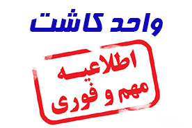 خرید نهال گردو پیوندی