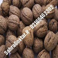نهالستان گردوی اصلاح شده پیوندی کرج | نهالستان مهندس مخملباف | 09120398416